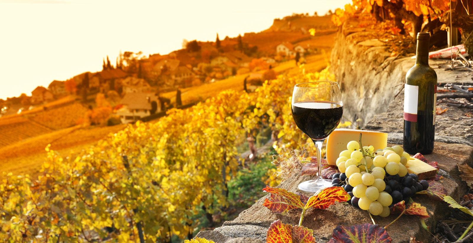 Private Tuscany Wine & Village Tour from Rome