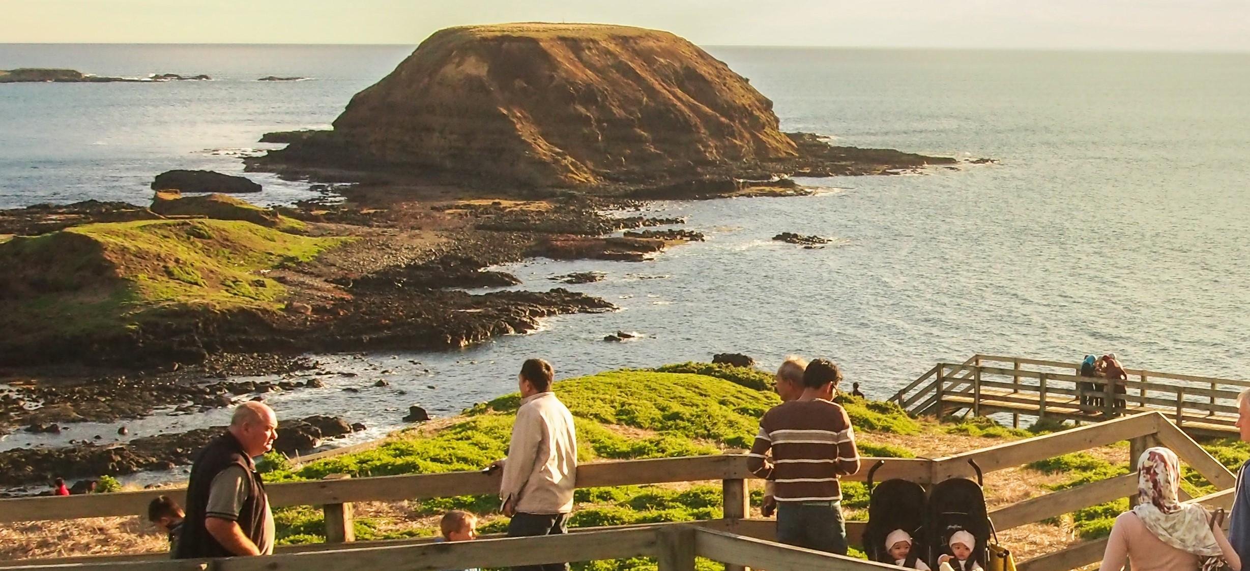 Phillip Island Wildlife & Penguin Parade Day Tour