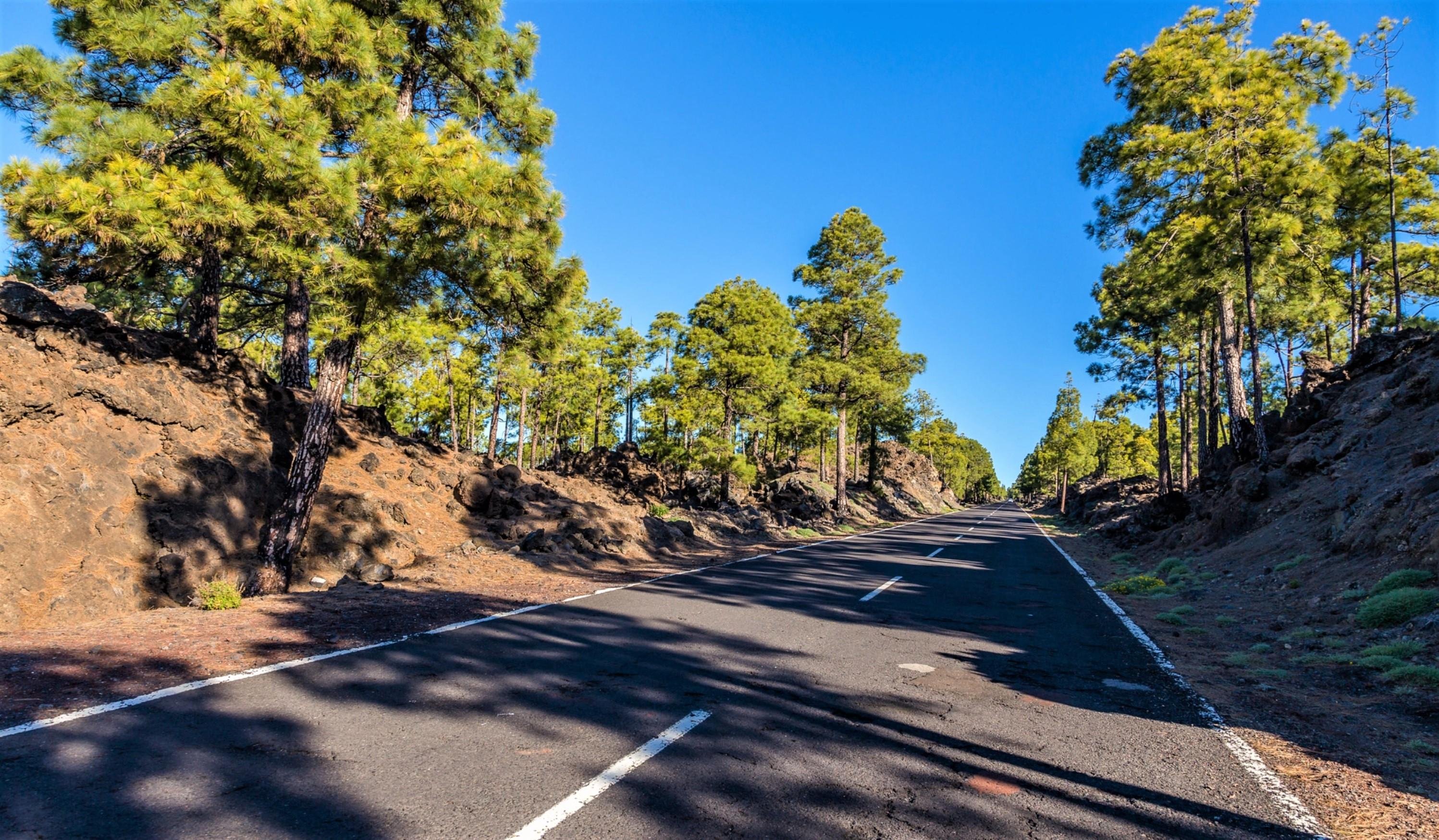 Teide Sunset and Stargazing Evening Excursion
