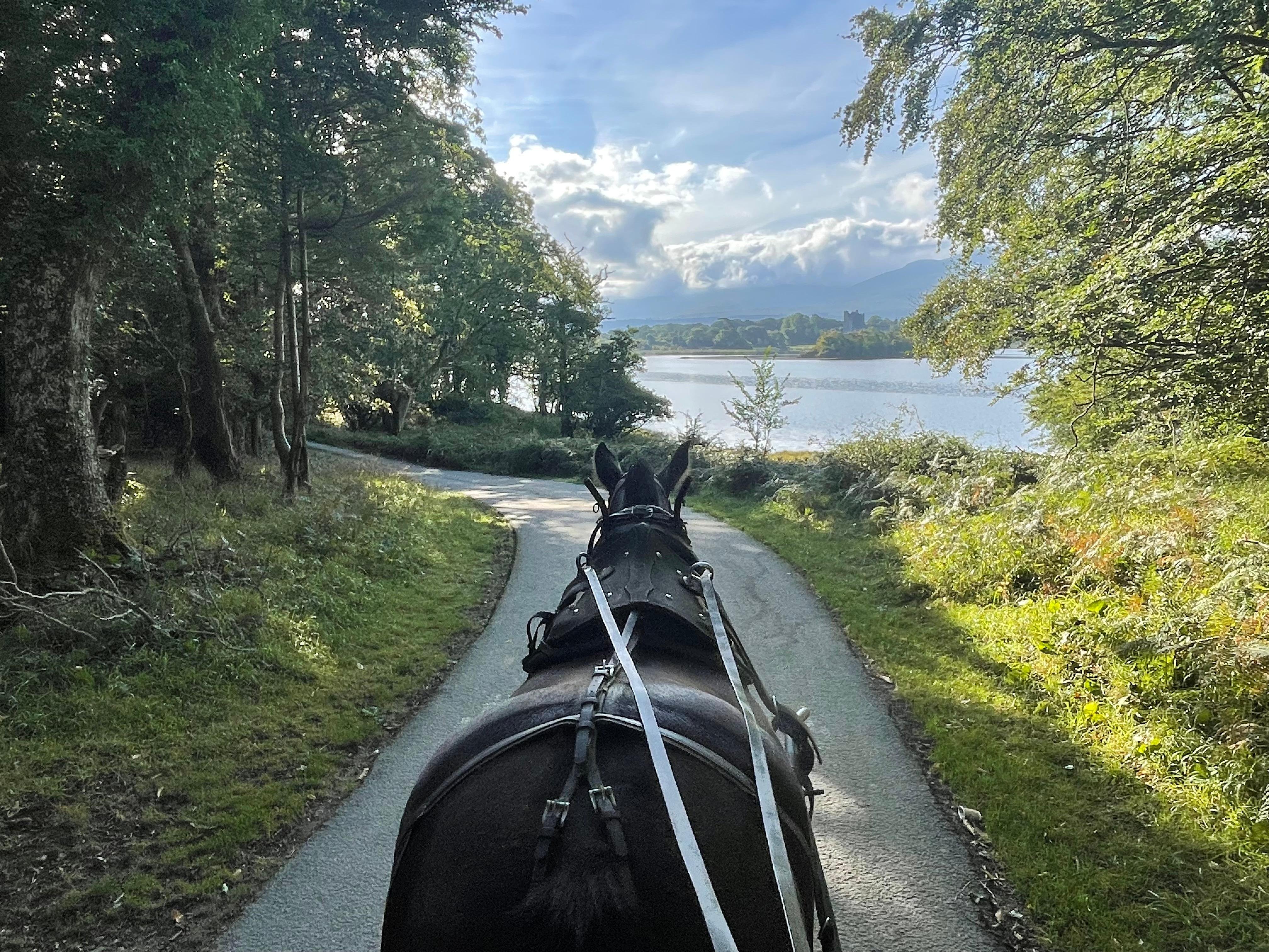 Horse-Drawn Carriage Ride Through Killarney National Park