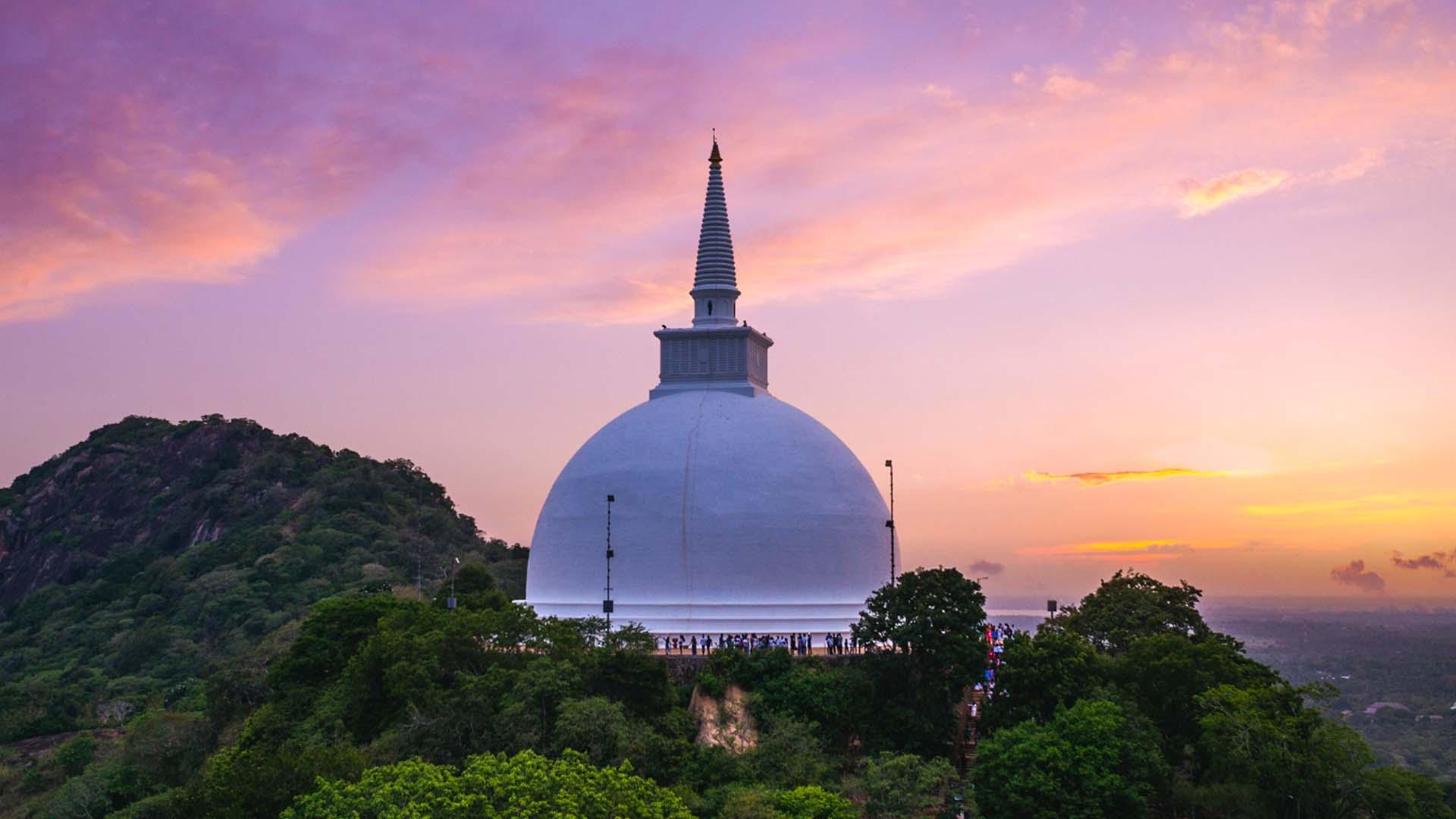 7-Day Private Sri Lanka Highlights Tour (2026)