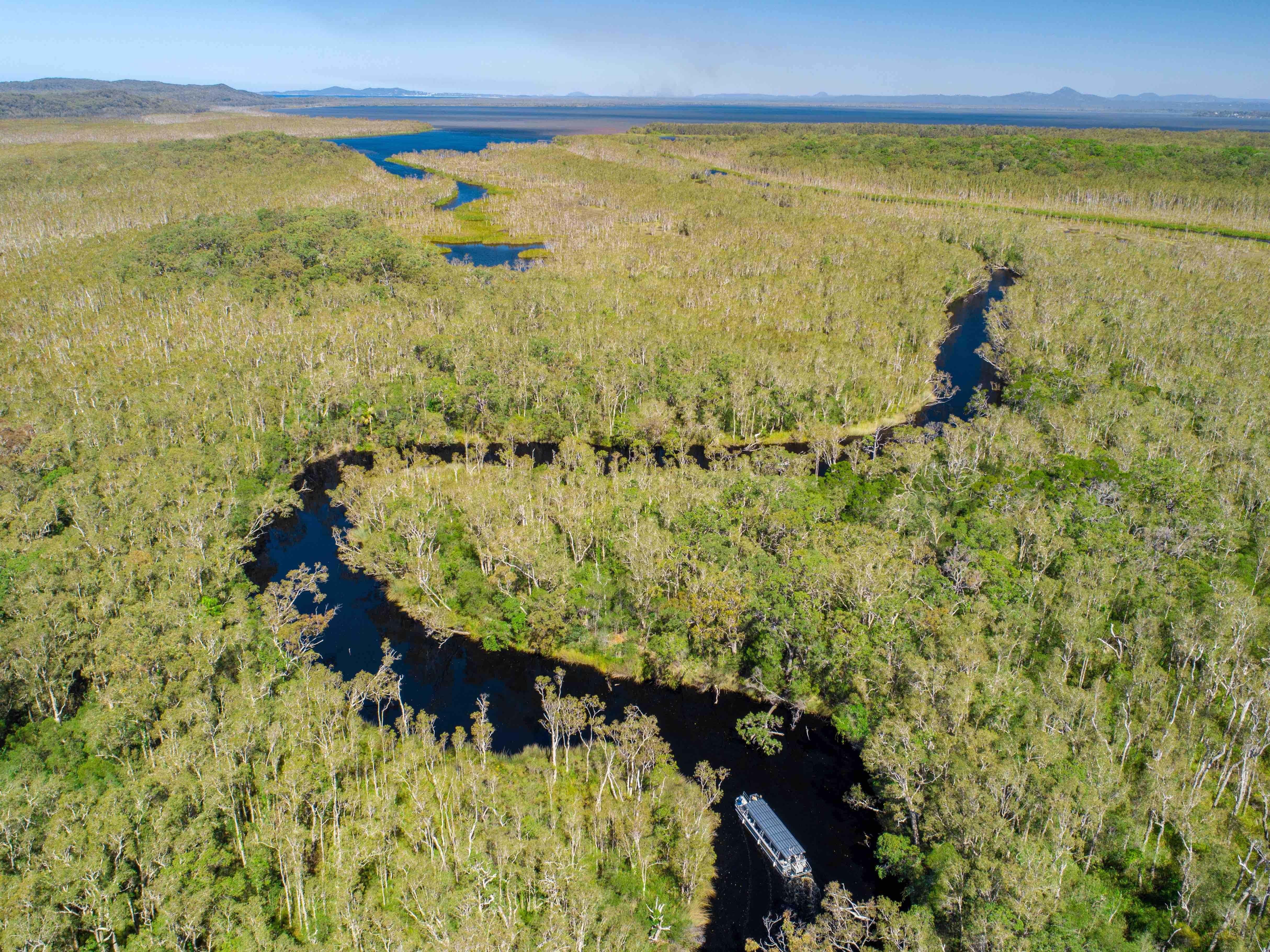 Noosa Everglades & Hinterland Discovery with Eco Cruise