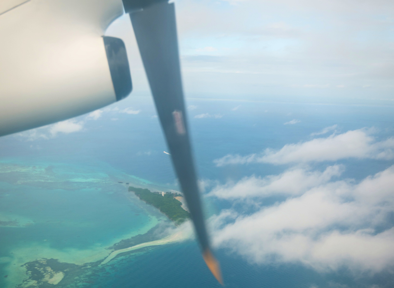 Zanzibar to Mikumi: Fly-In Safari Day Trip by Twin-Engine Plane