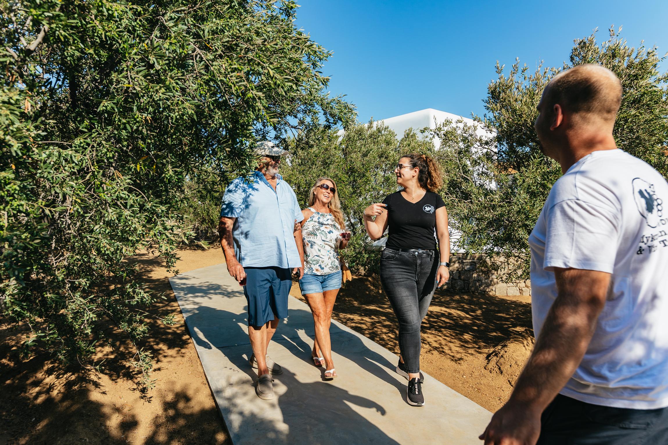Mykonos Organic Vineyard Tour with Wine and Local Bites
