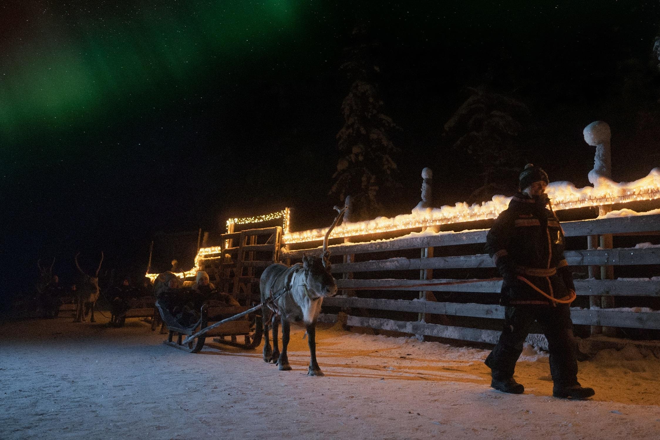 Rovaniemi Nighttime Reindeer Sleigh Safari