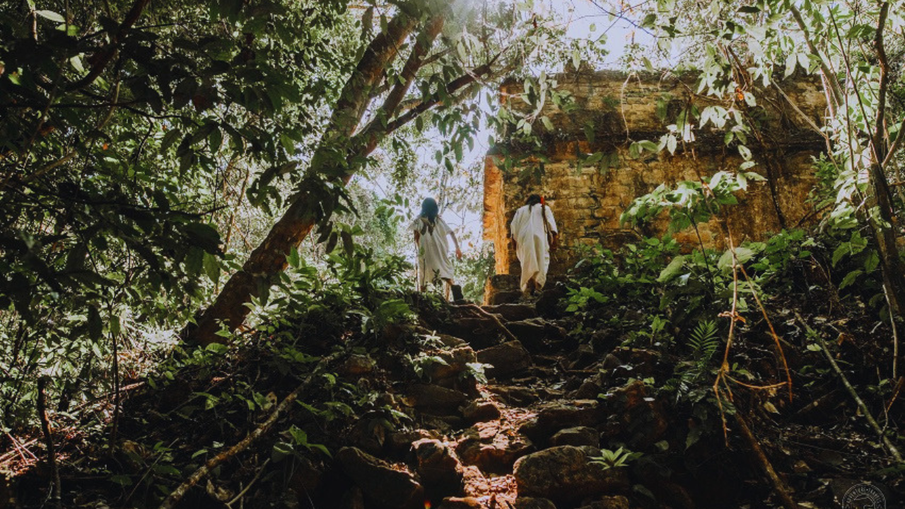 Yaxchilán & Bonampak Ruins with Lacandon Jungle Overnight