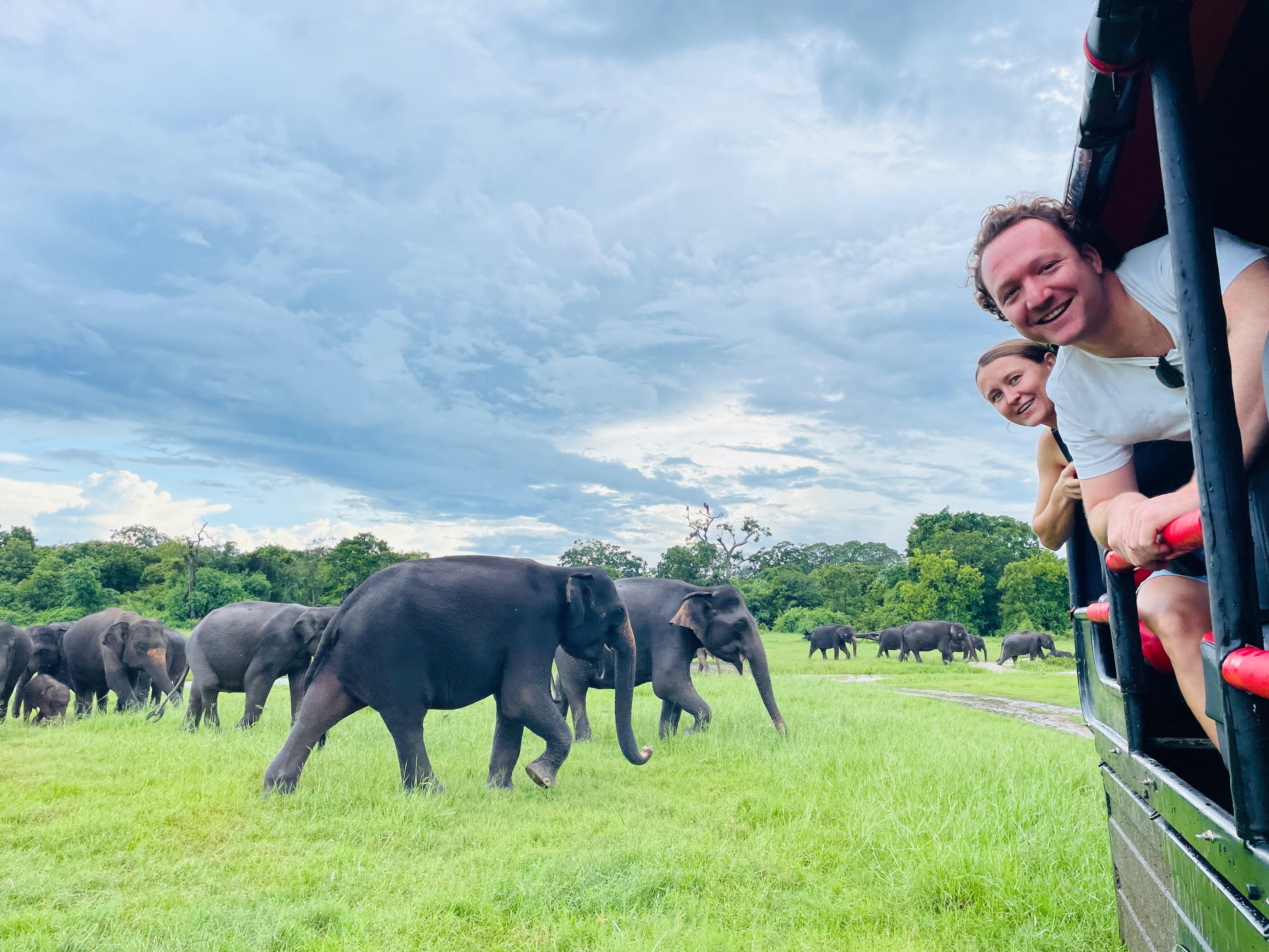 Minneriya National Park Shared Safari with Local Guide