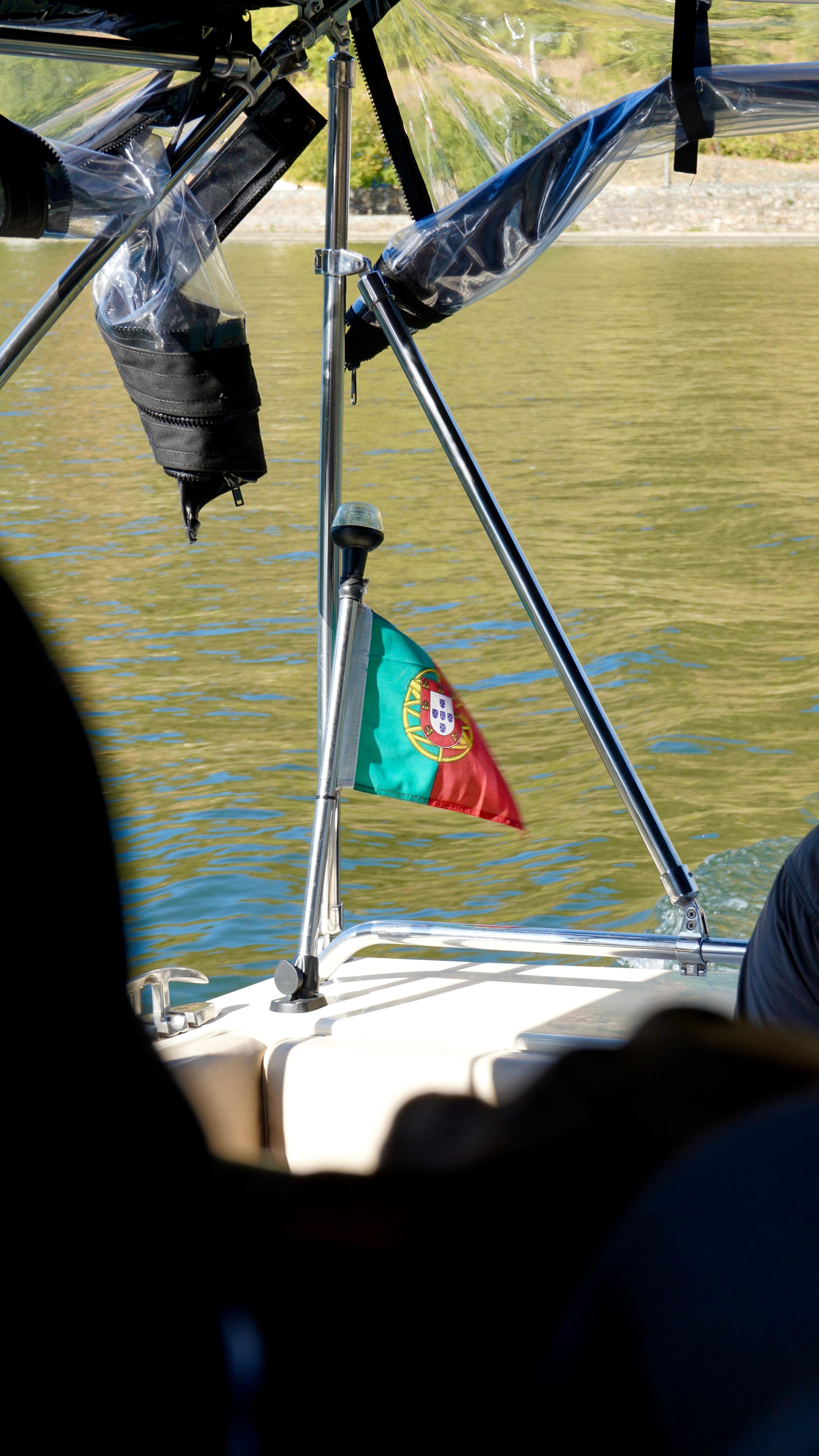 Douro Valley Wine & Boat Experience from Porto