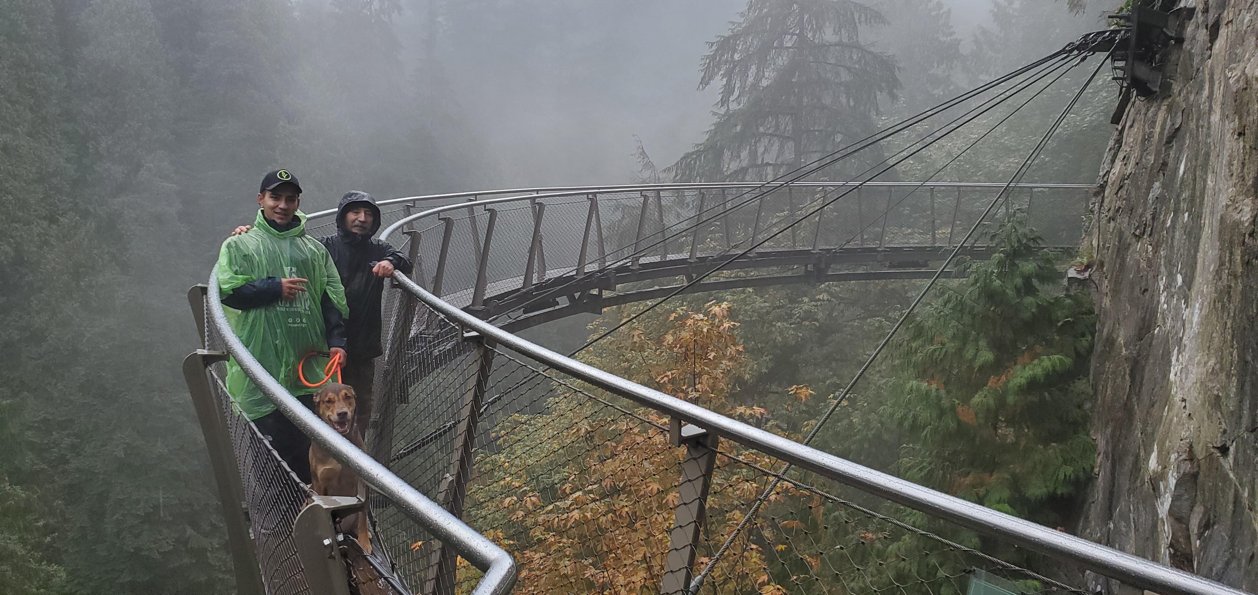 Vancouver Highlights: Private Capilano & Granville Island Tour