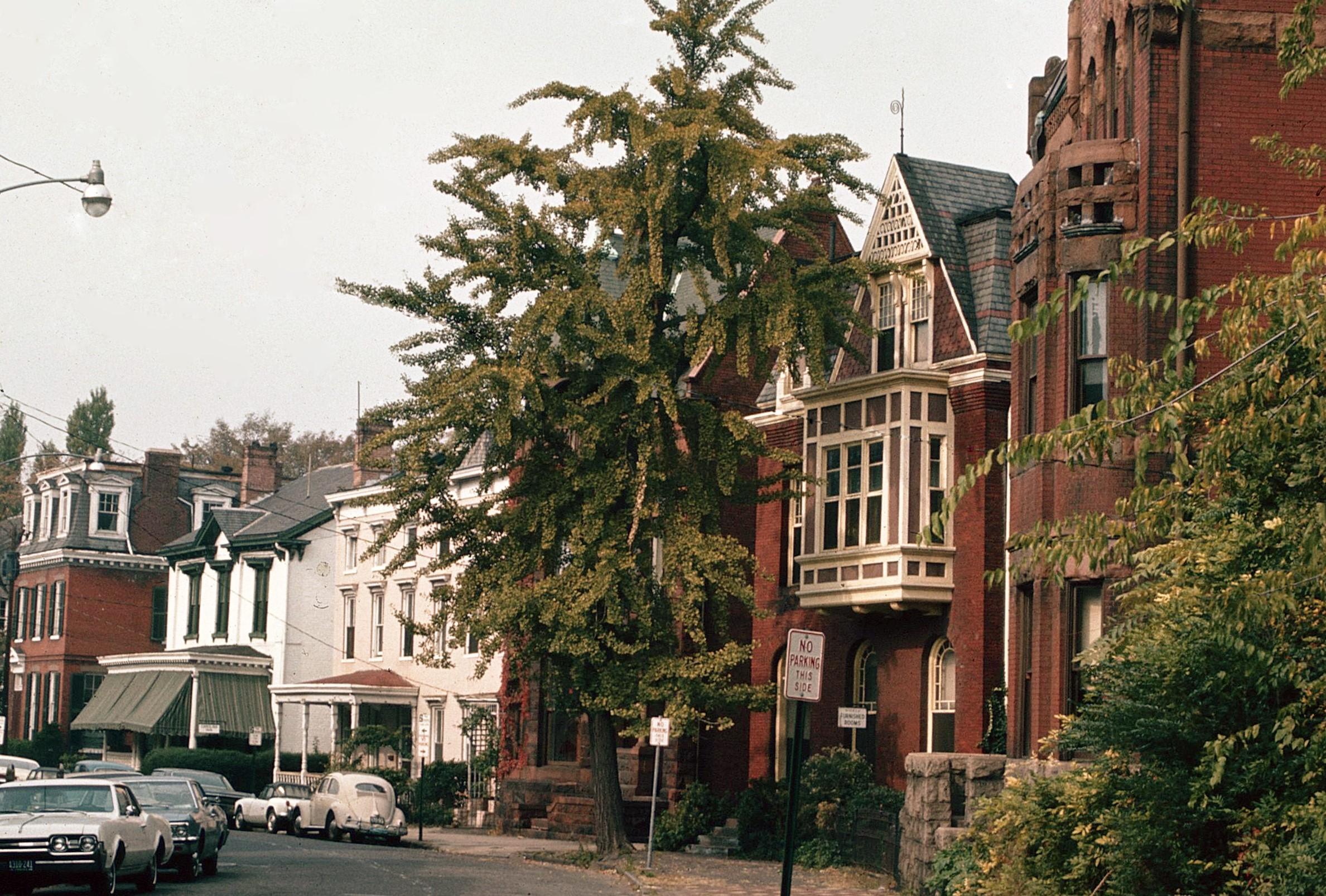 Norfolk Freemason District Historic Walking Tour