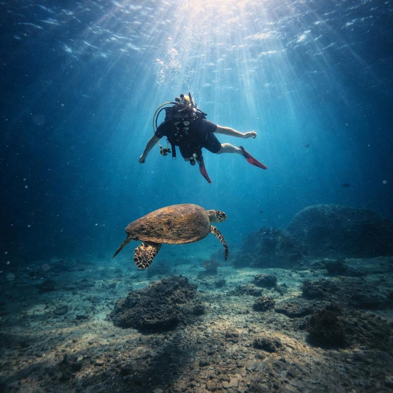 Trincomalee-Nilaveli Two-Dive Diving Experience
