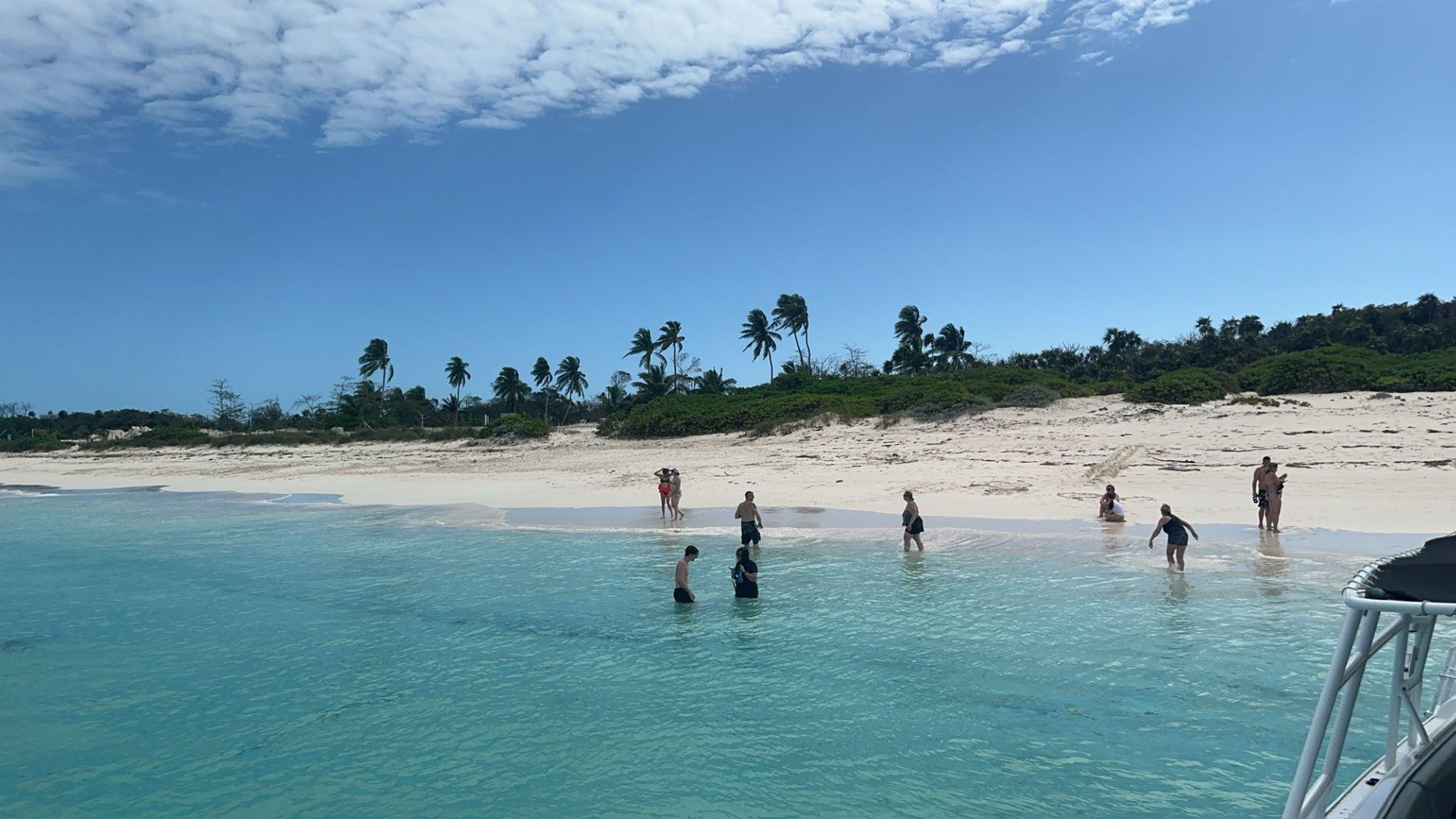 Nassau 3-Island Speedboat Adventure: Pigs, Turtles & Snorkeling