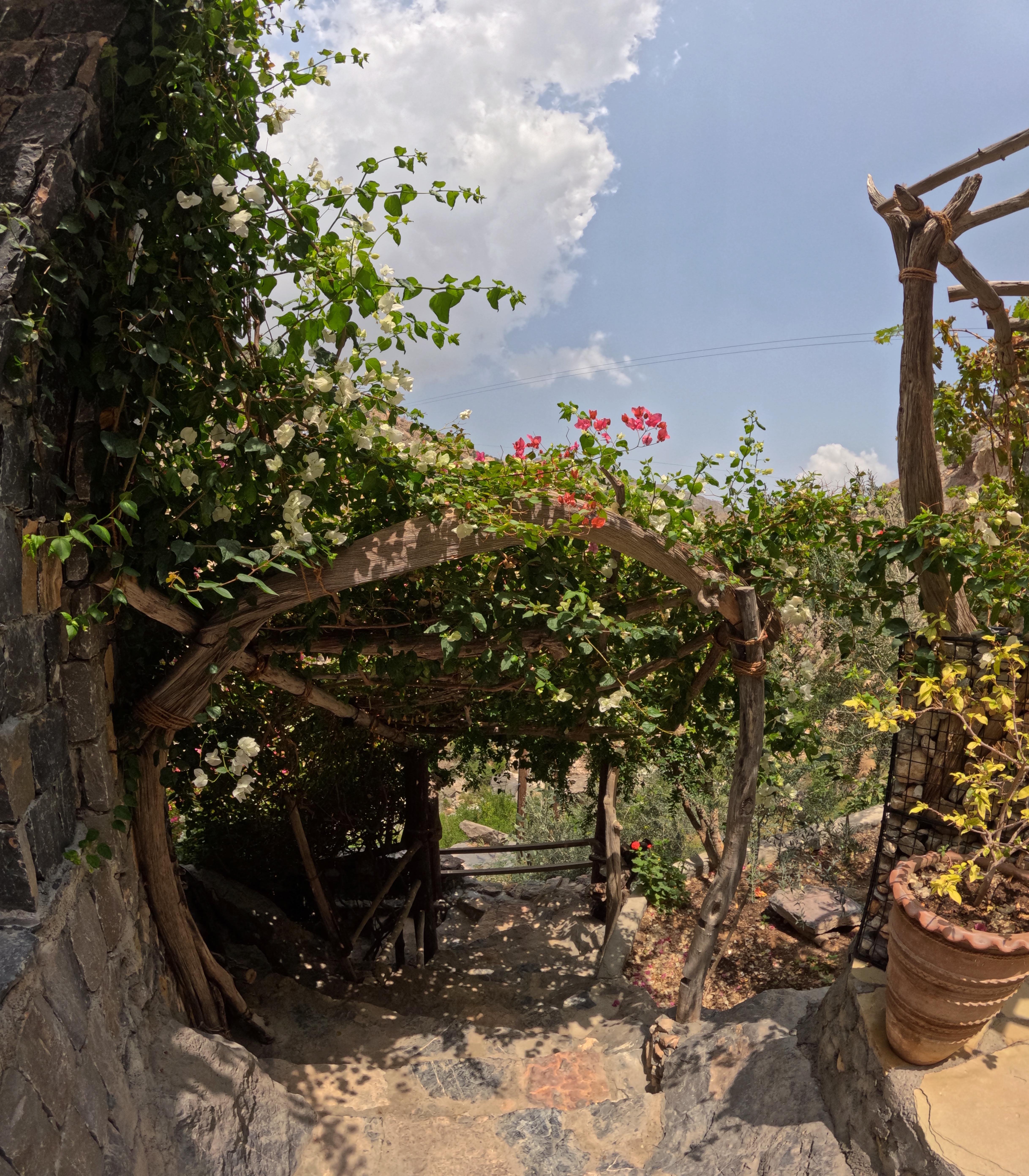 Jabal Akhdar Mountain Discovery