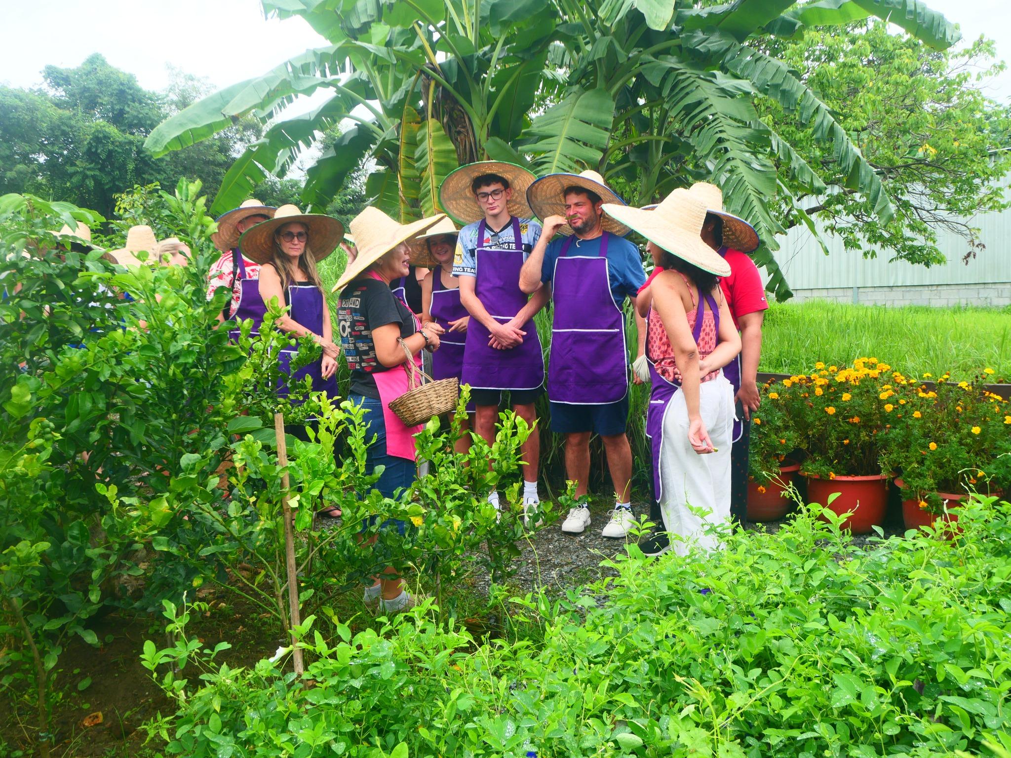 Full-Day Thai Cooking Class at Organic Farm