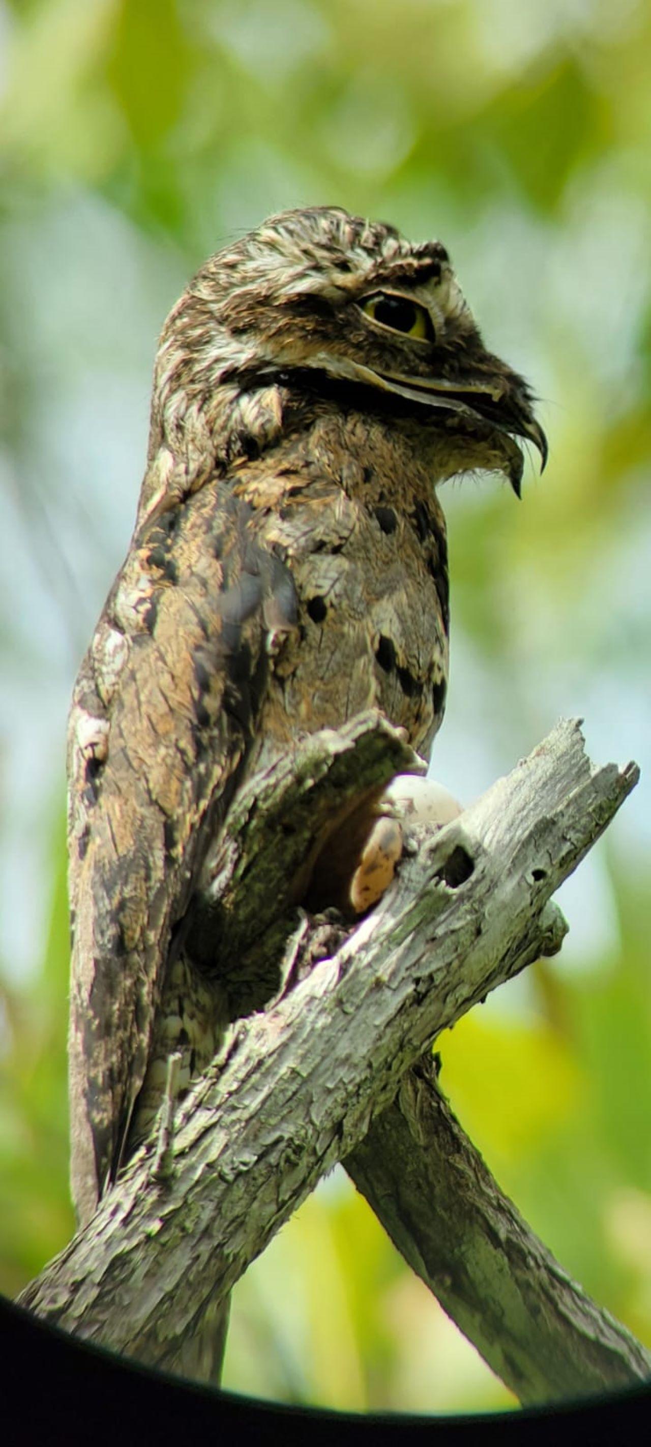 Manuel Antonio National Park: Expert-Guided Wildlife Hike