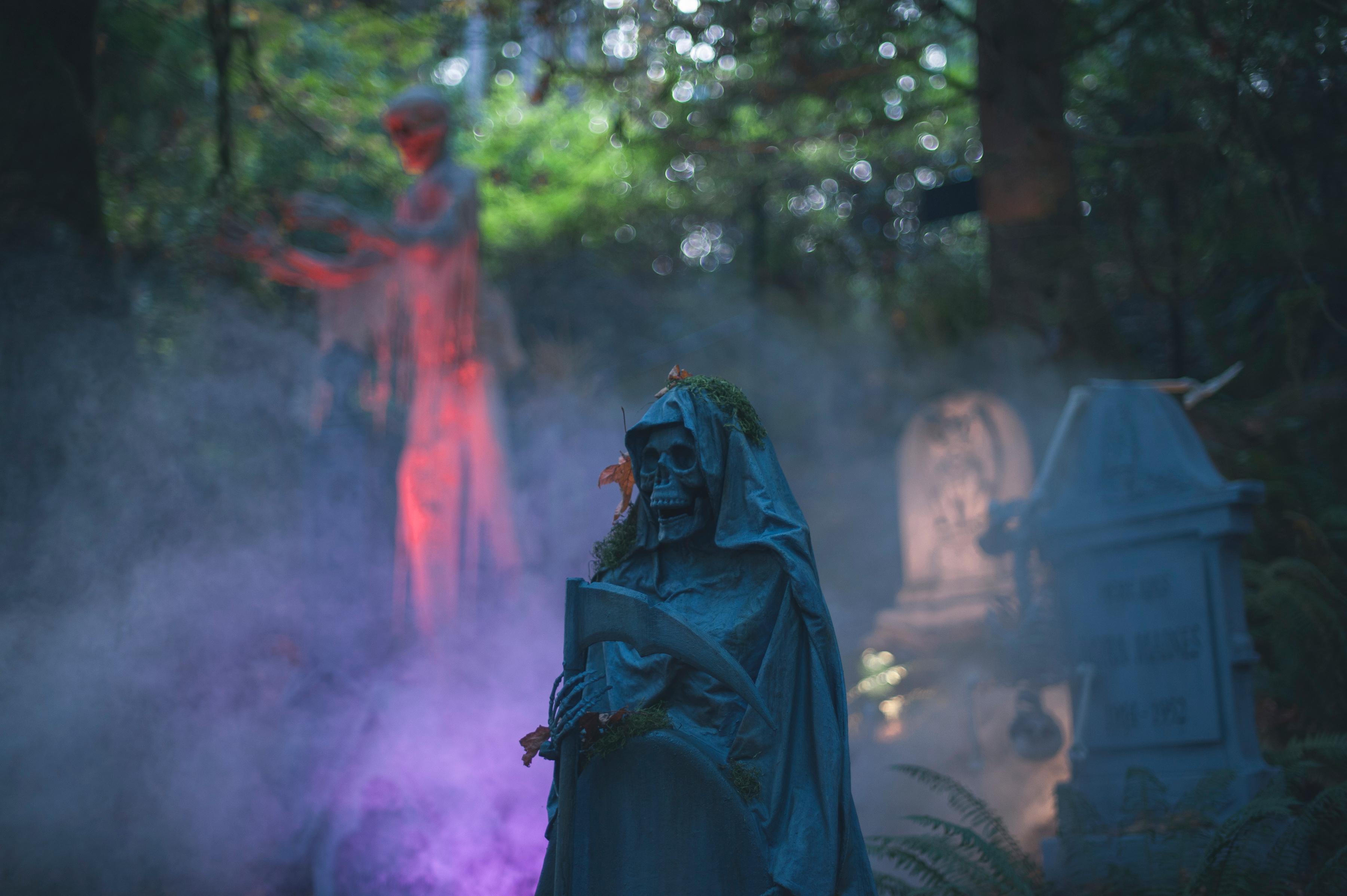 Capilano Canyon Halloween & Vancouver Twilight Private Tour