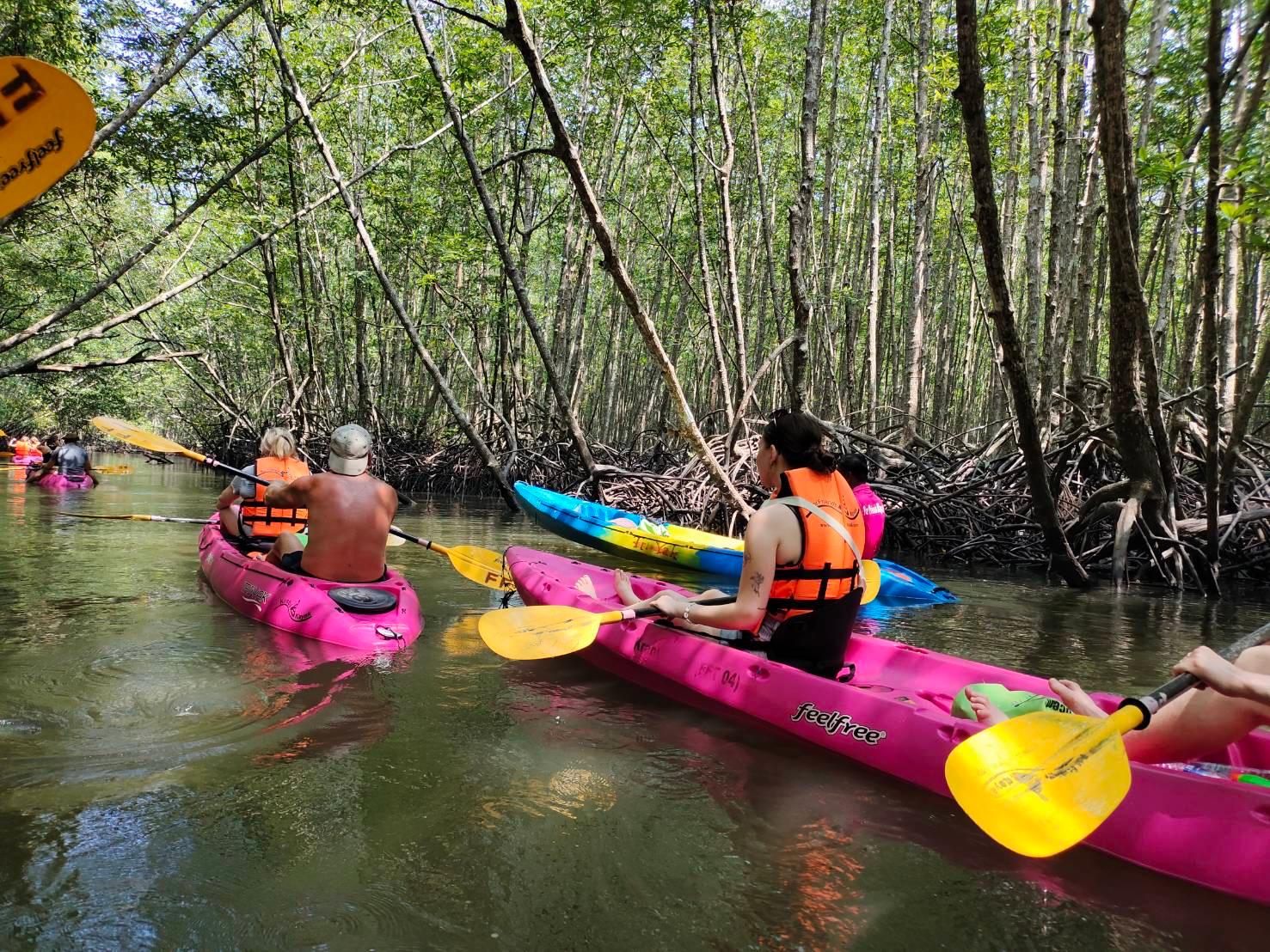Krabi Ao Thalane Half-Day Mangrove Kayak Tour