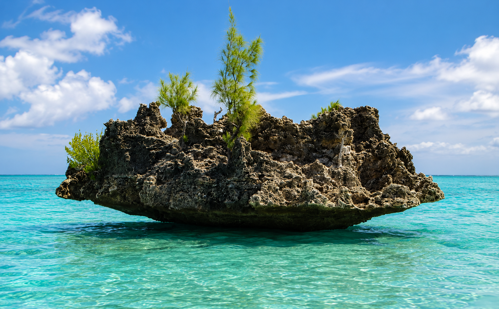 Mauritius: Wild Dolphin Swim, Snorkeling & BBQ on Benitier Island