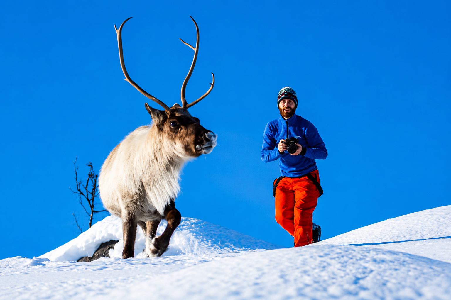 Sommarøy Arctic Coast Adventure