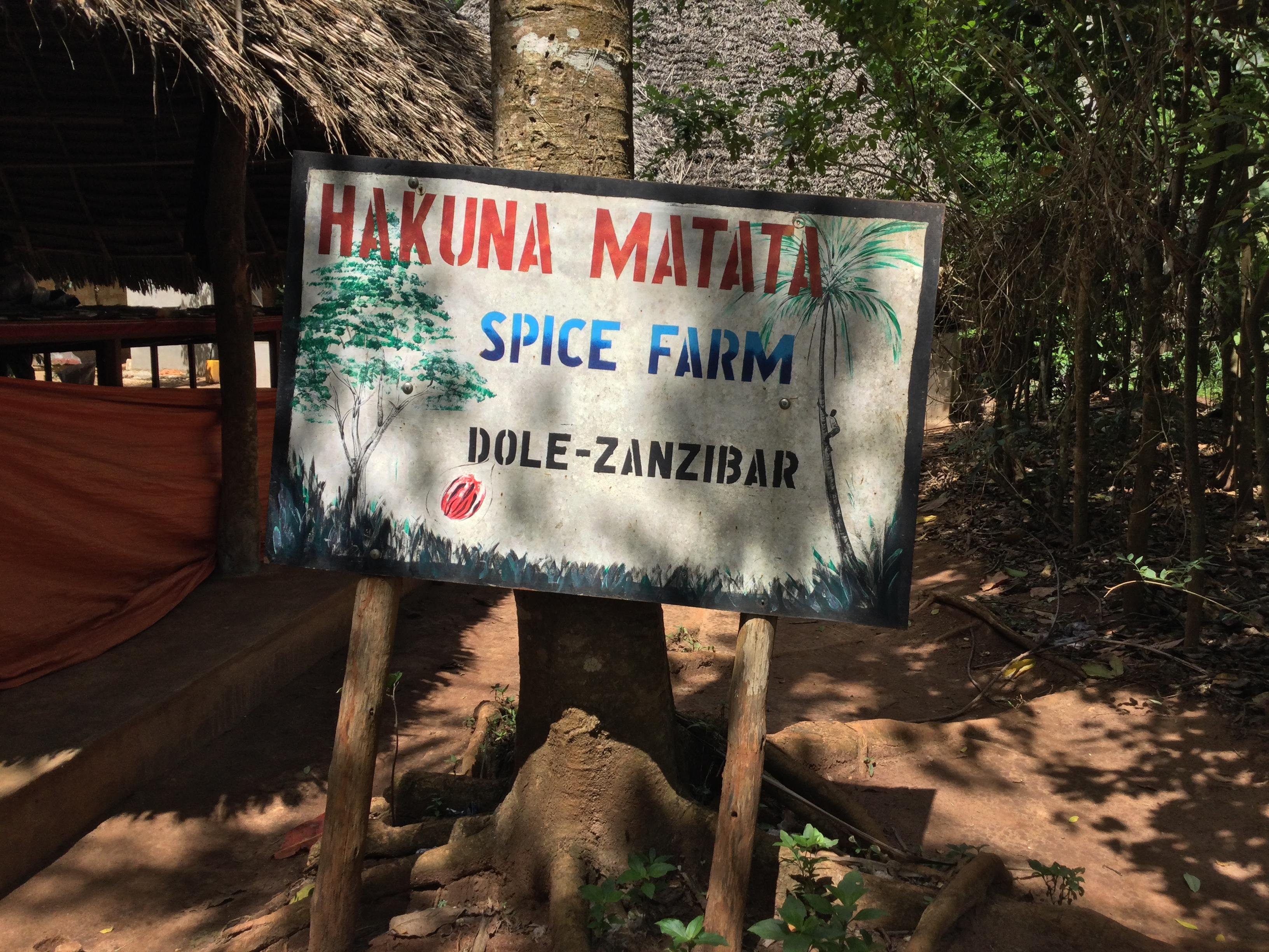 Zanzibar Spice Farm & Stone Town Private Day Tour with Swahili Lunch