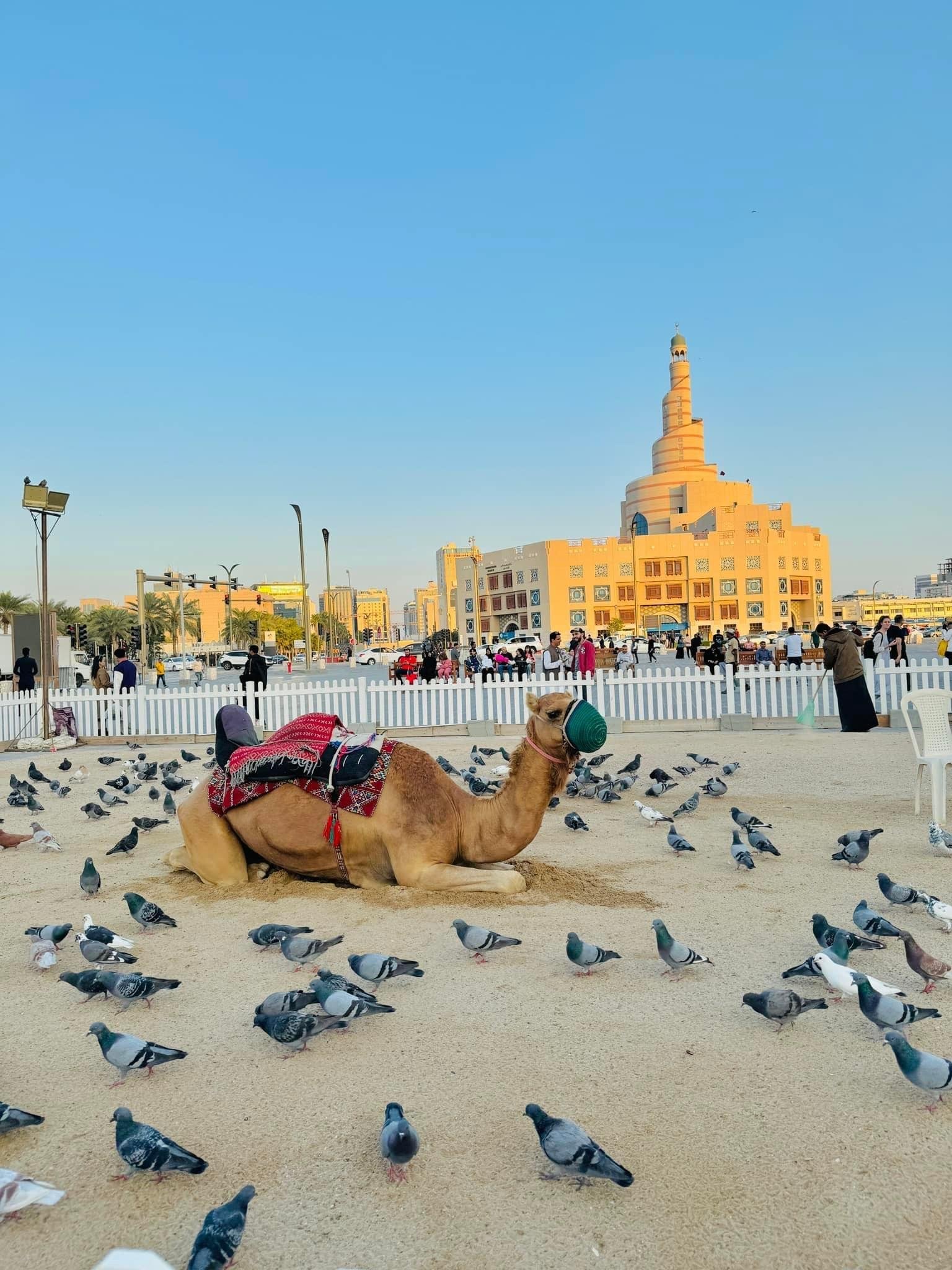 Tour privato delle attrazioni principali di Doha con guida locale