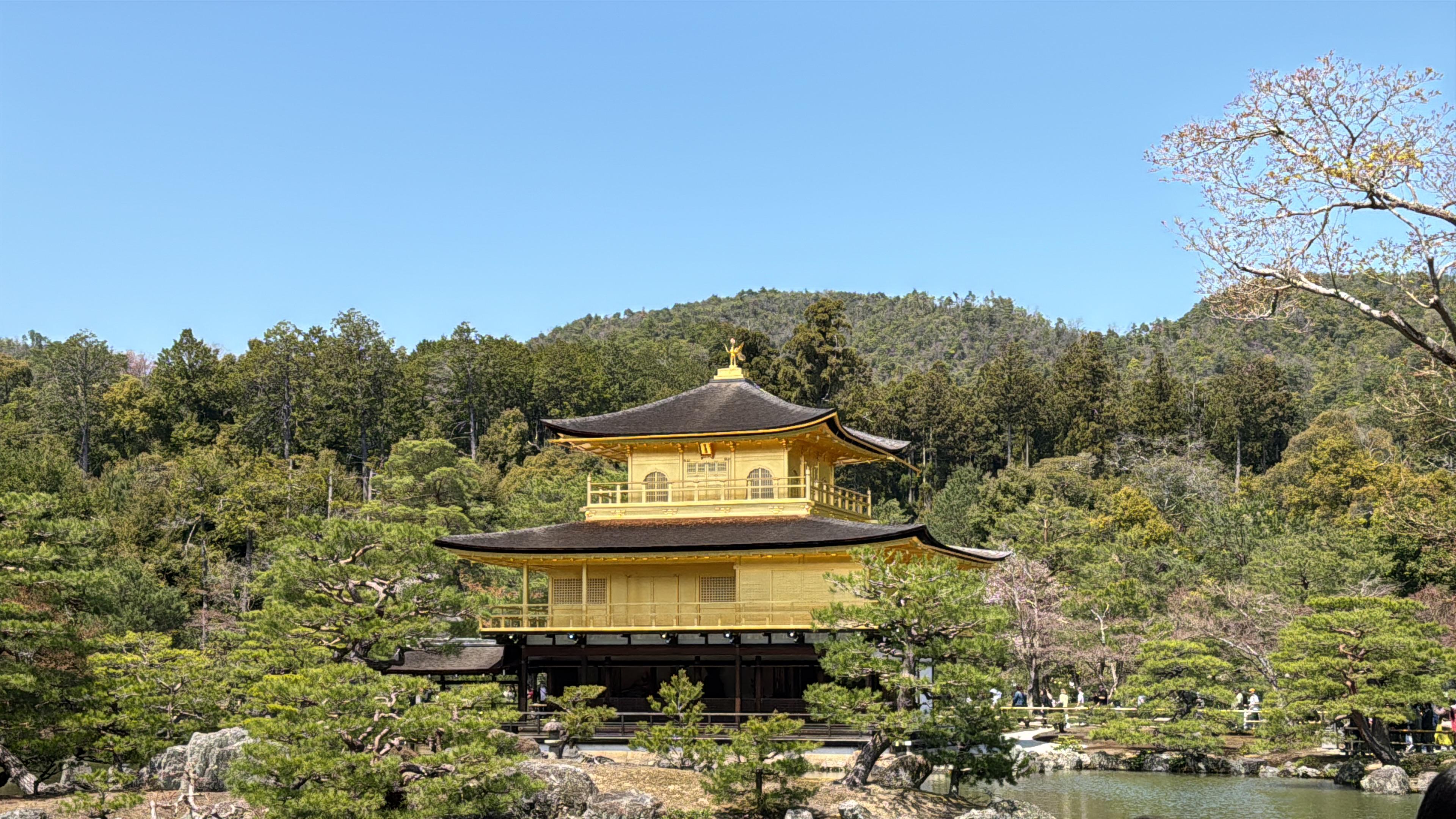 Kyoto og Nara: Tilpassbar privat dagstur fra Osaka eller Kyoto