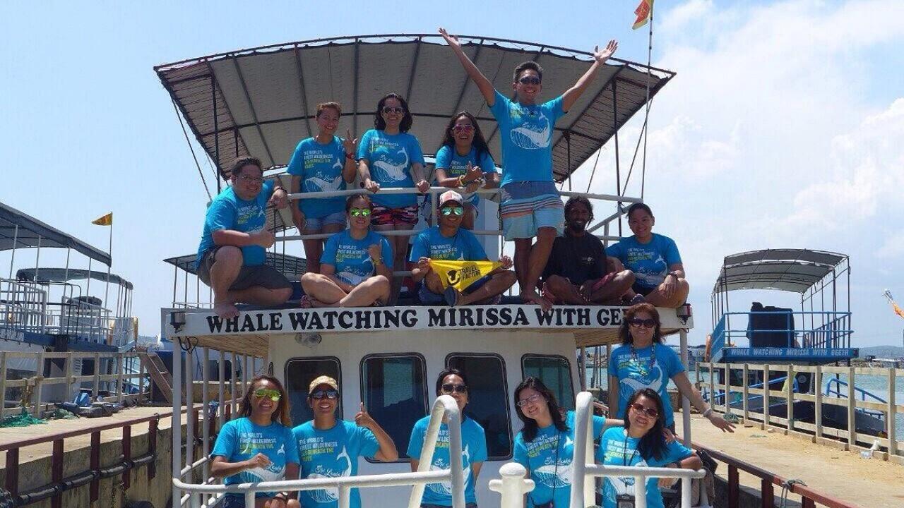 Mirissa Whale & Dolphin Watching Expedition