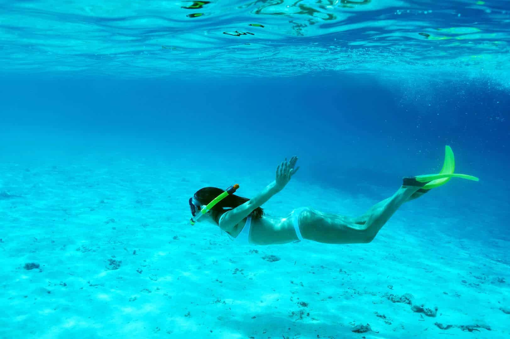 Mesoamerica Barrier Reef Snorkeling Adventure