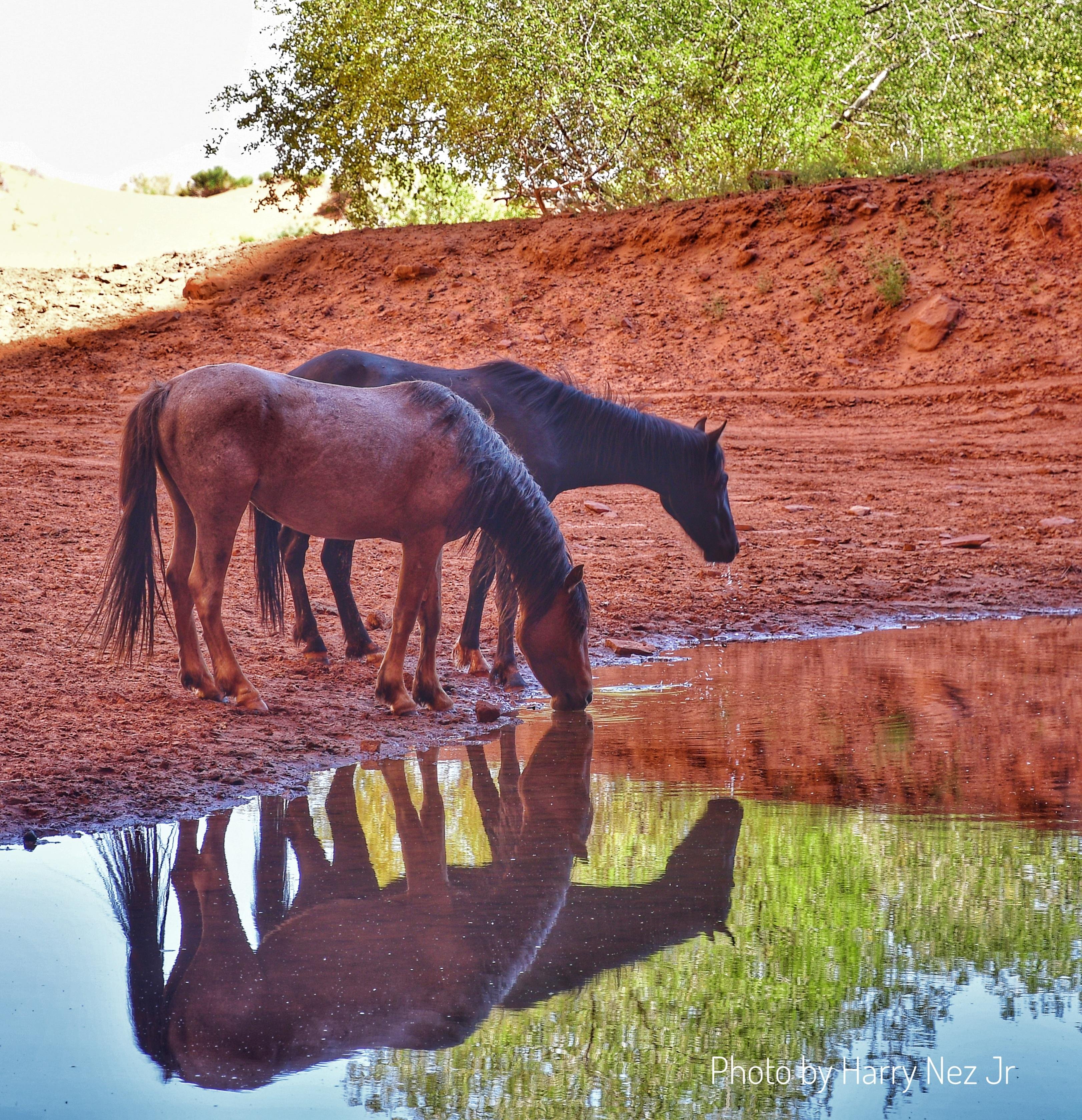 Monument Valley: 3.5-Hour Cultural Backcountry Expedition