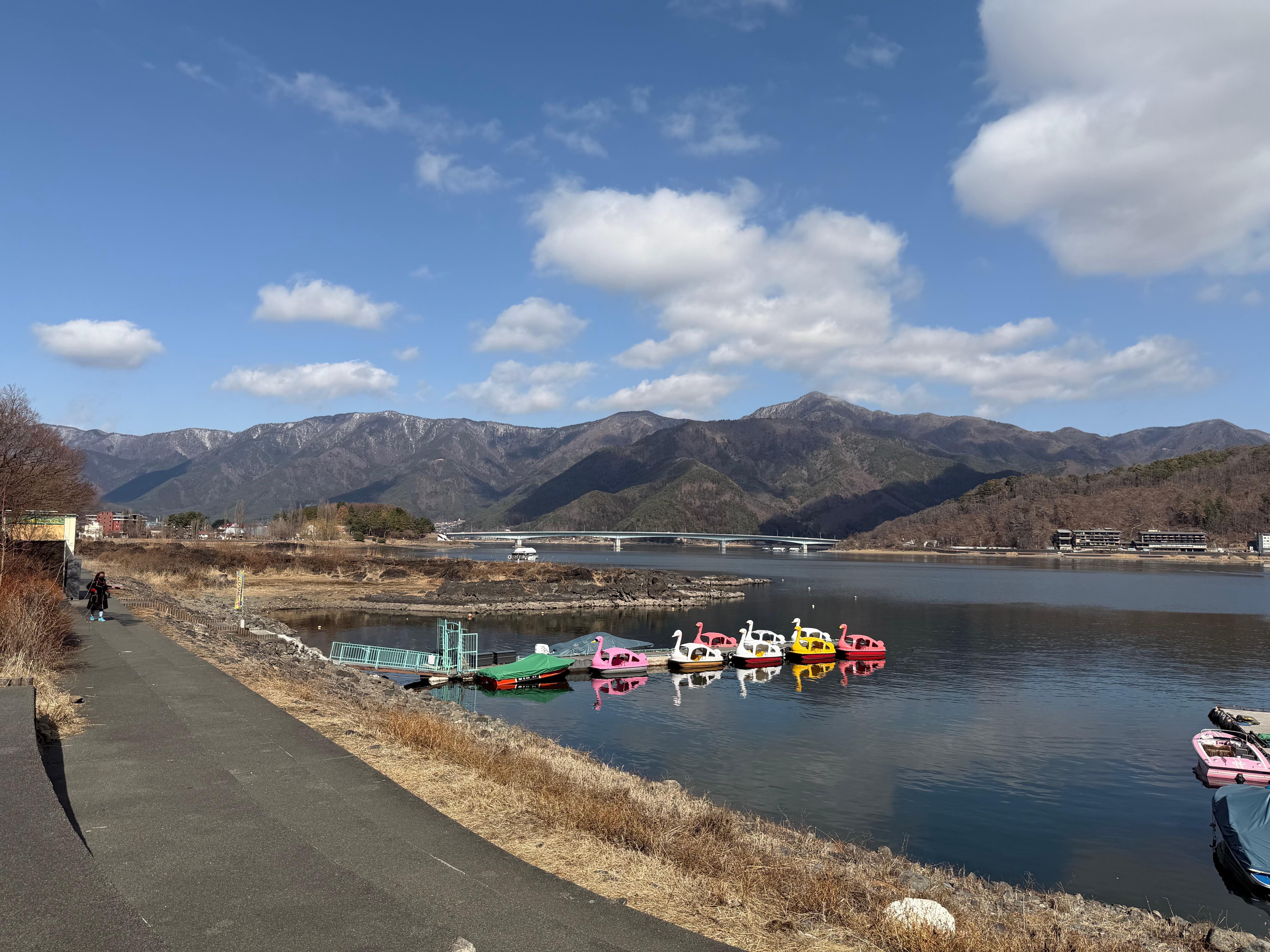 Tokyo to Mt. Fuji & Hakone: Private Full-Day Tour with English Driver