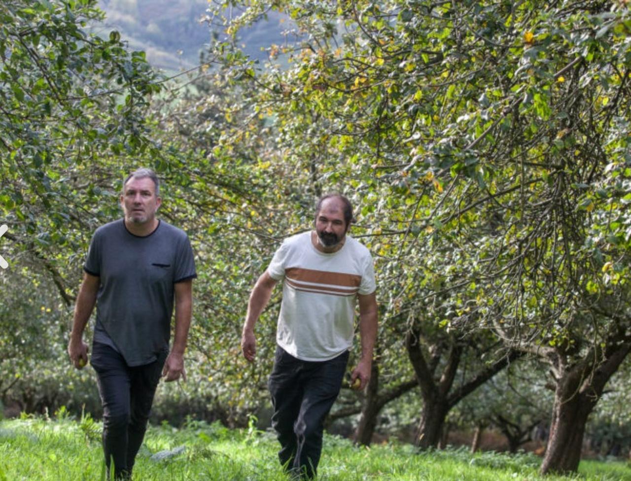Organic Cider House Experience at Ekain