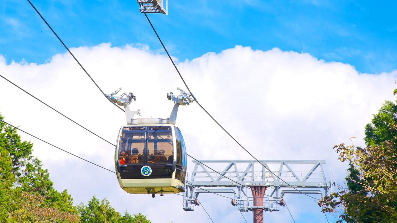 Mt. Fuji & Hakone Full-Day Tour with Ropeway & Lake Ashi Cruise