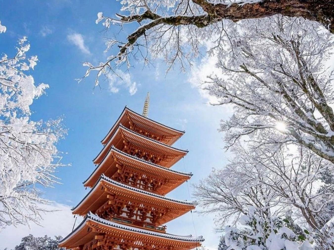 Private Mt. Fuji Day Tour from Tokyo