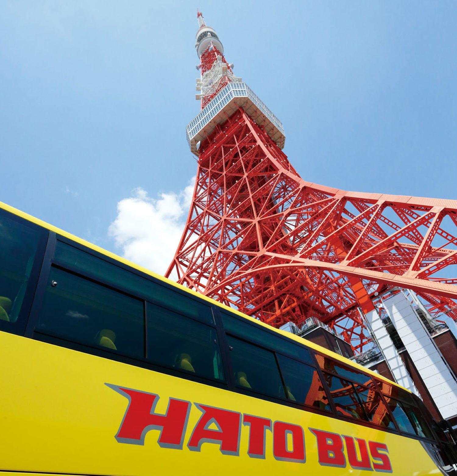 Dynamic Tokyo Full-Day Tour: Tea Ceremony, Buffet Lunch & Bay Cruise