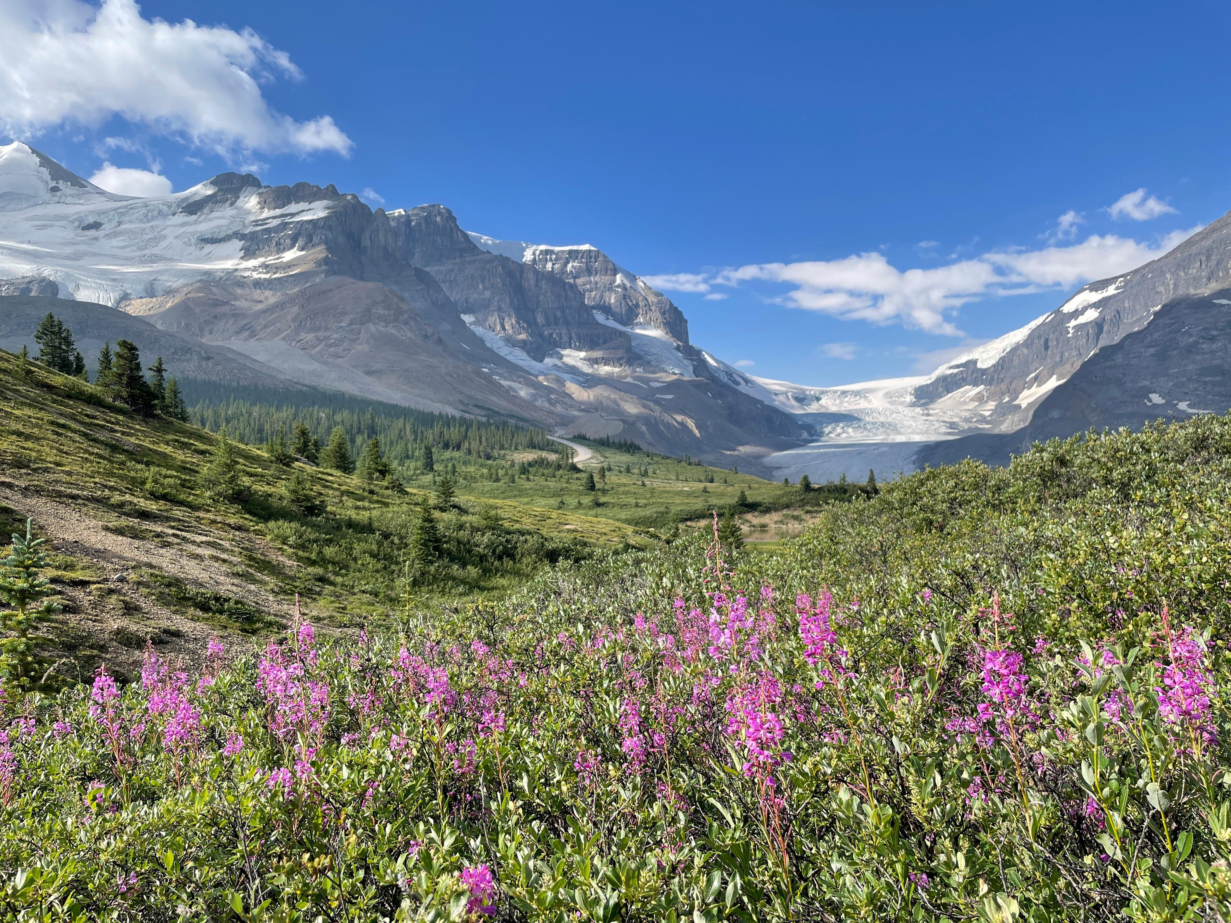 Athabasca Glacier tour — guided glacier walk with crampons on the Columbia Icefield