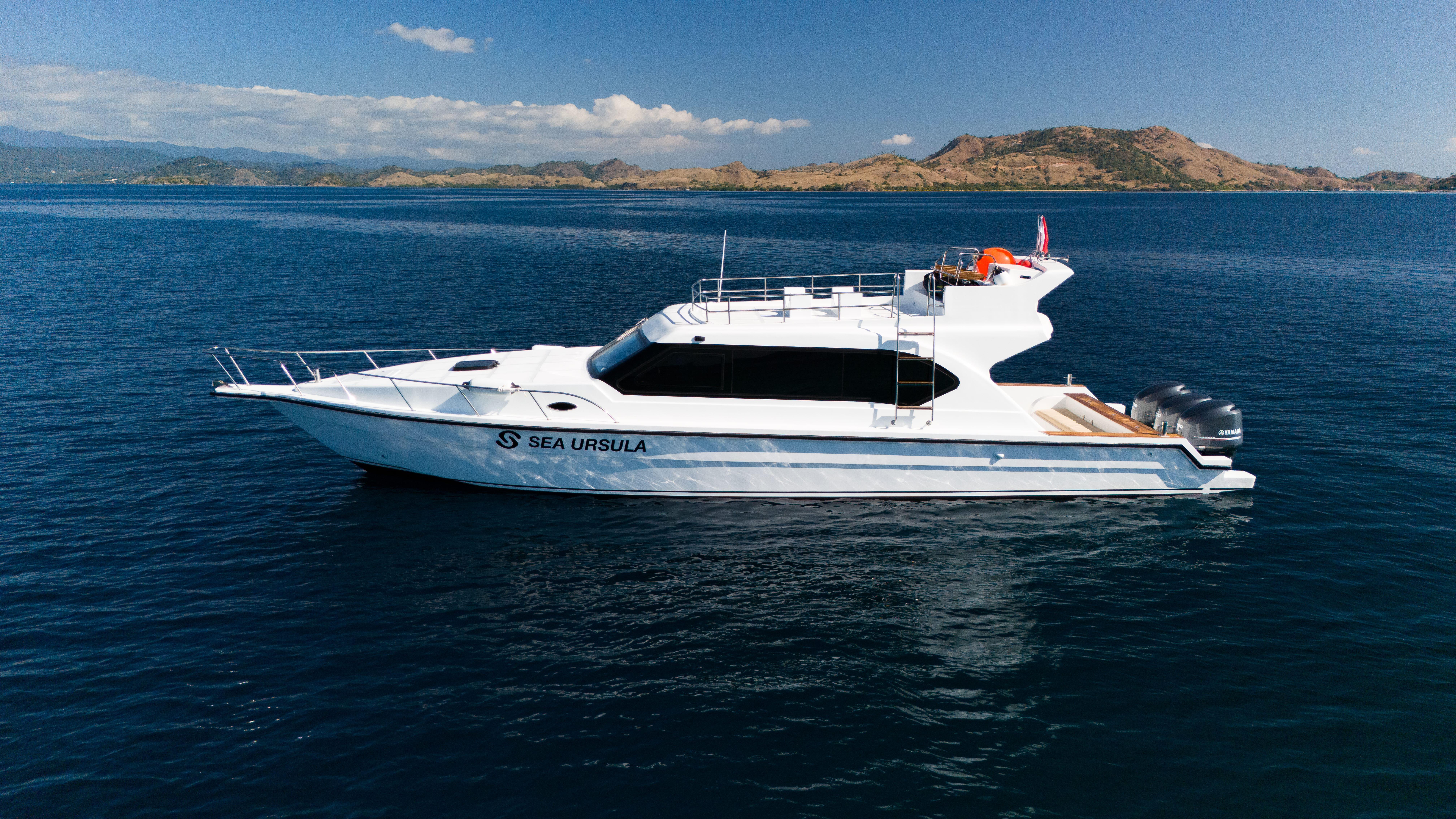 Komodo National Park Full-Day Speedboat Adventure from Labuan Bajo