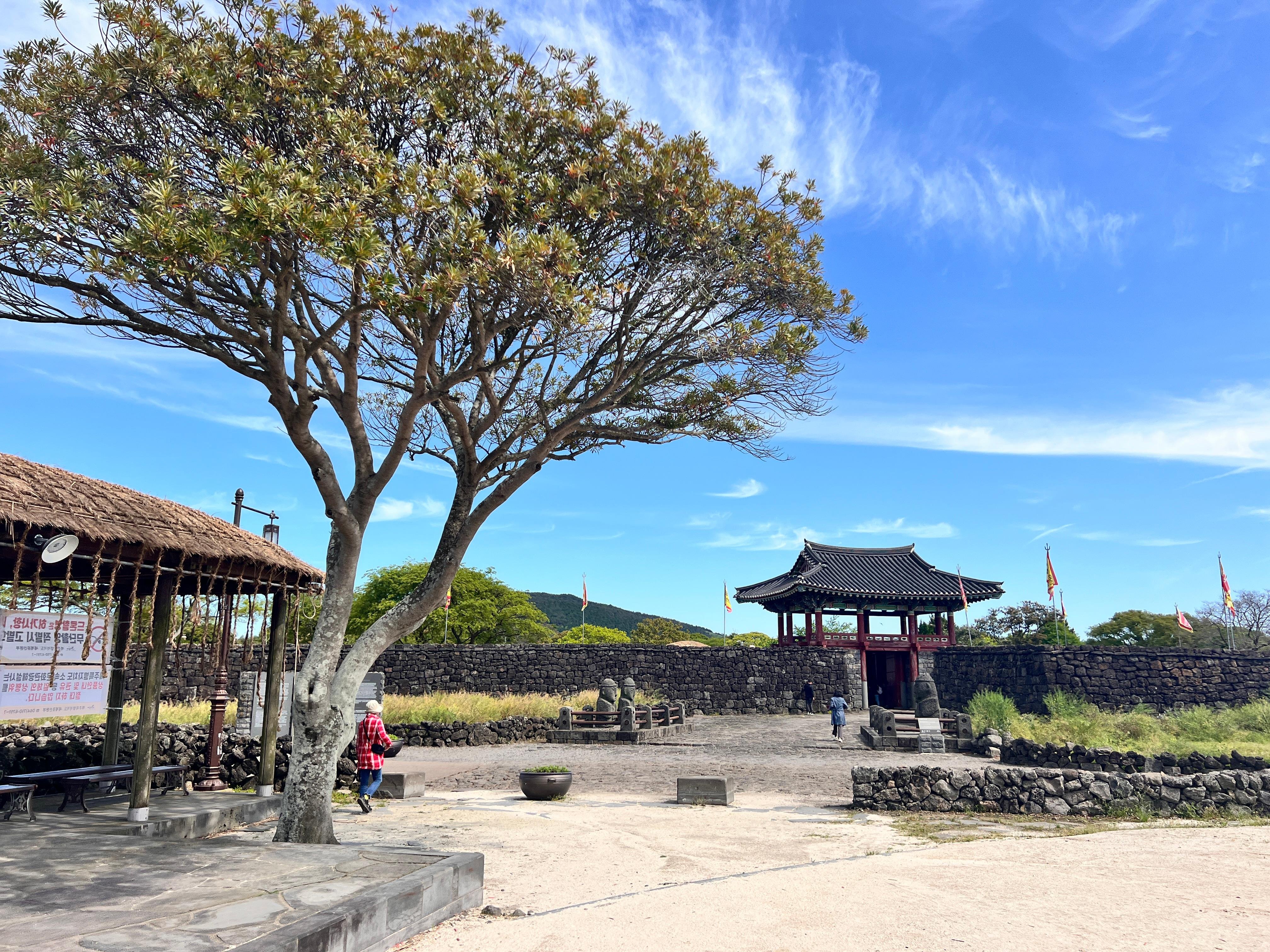 Jeju East Coast Discovery