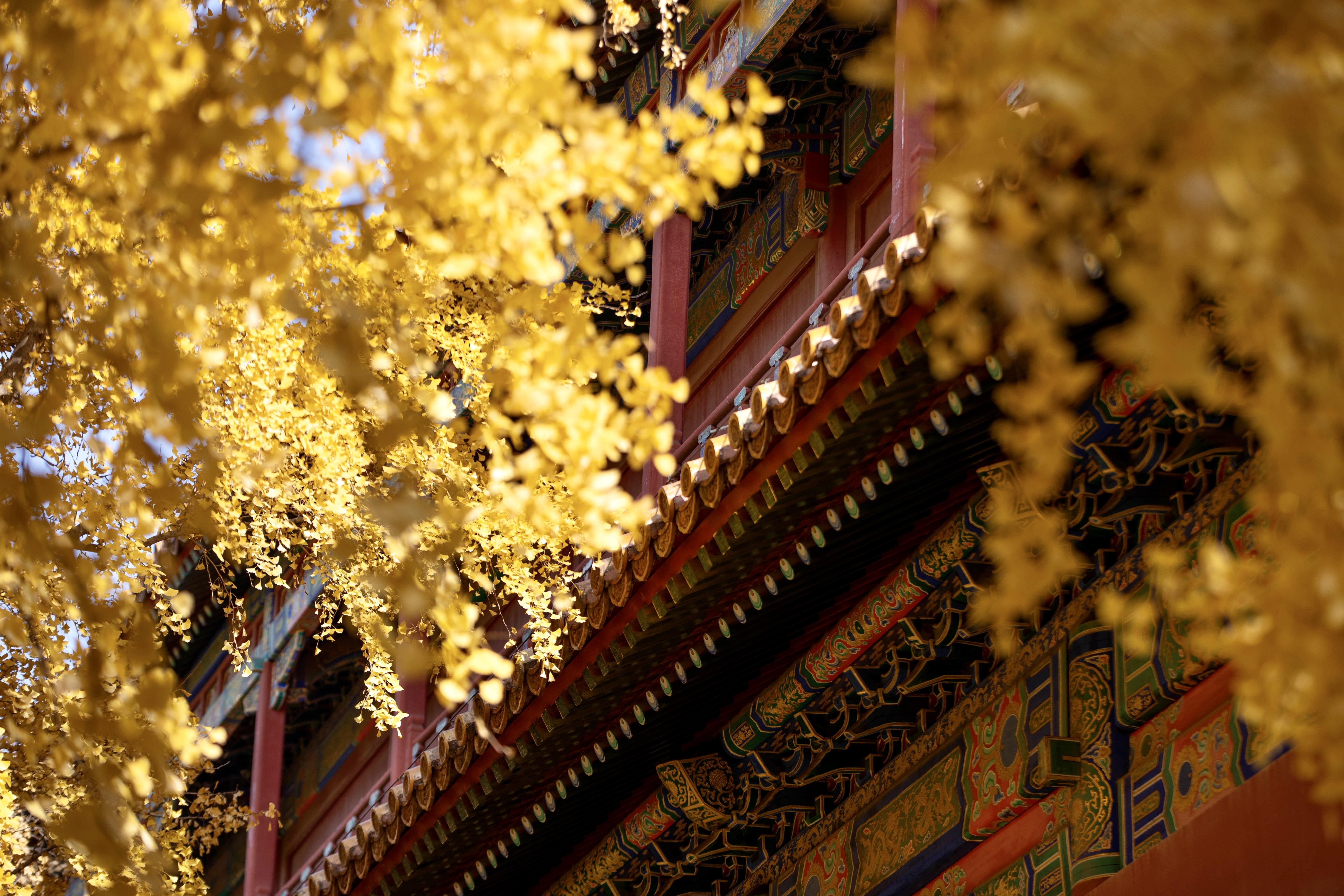 Beijing Imperial Heart: Tiananmen & Forbidden City Tour