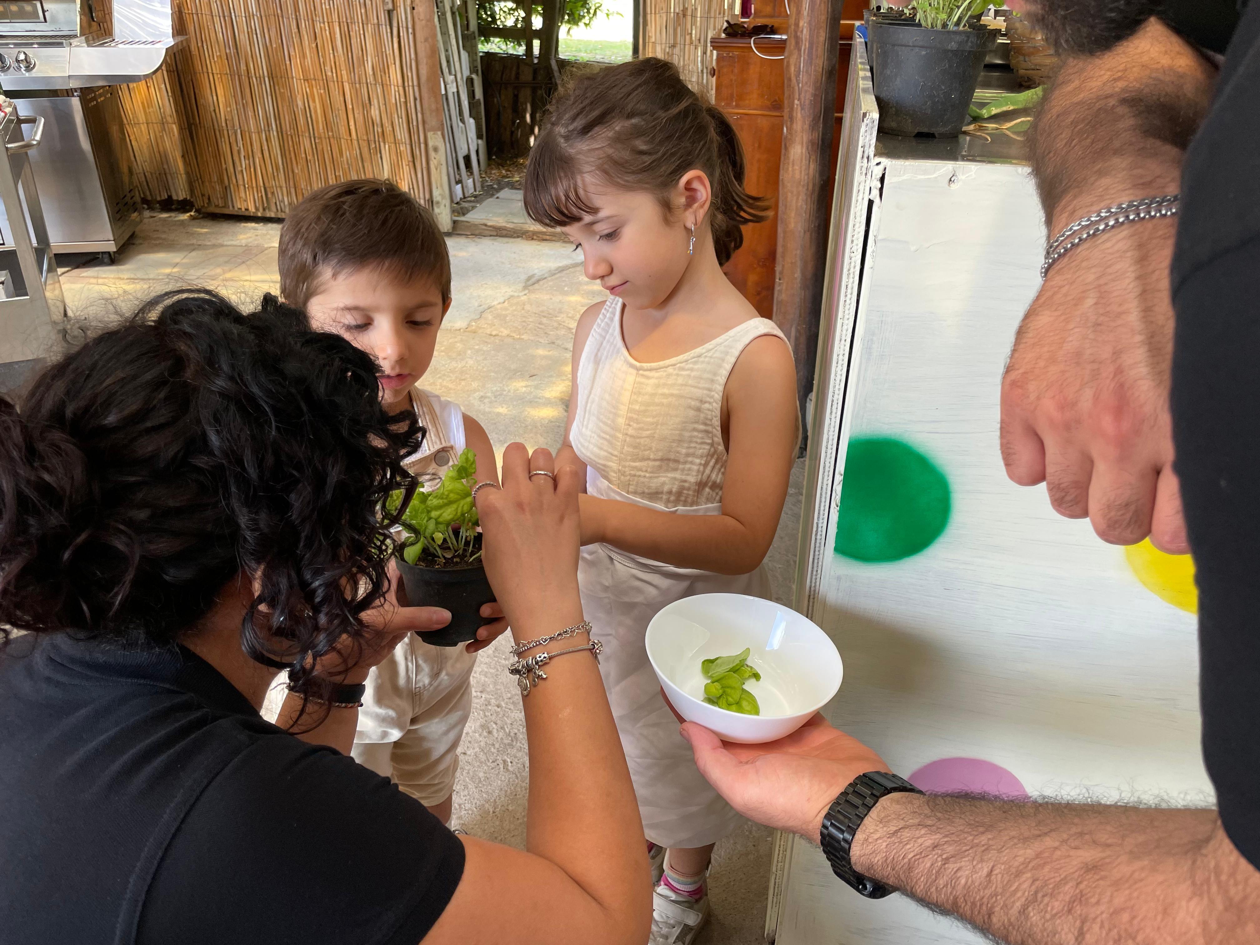 Positano Garden Cooking Class with Li Galli Views