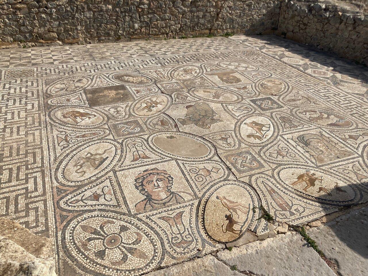 Fes to Volubilis, Moulay Idriss & Meknes Full-Day Tour
