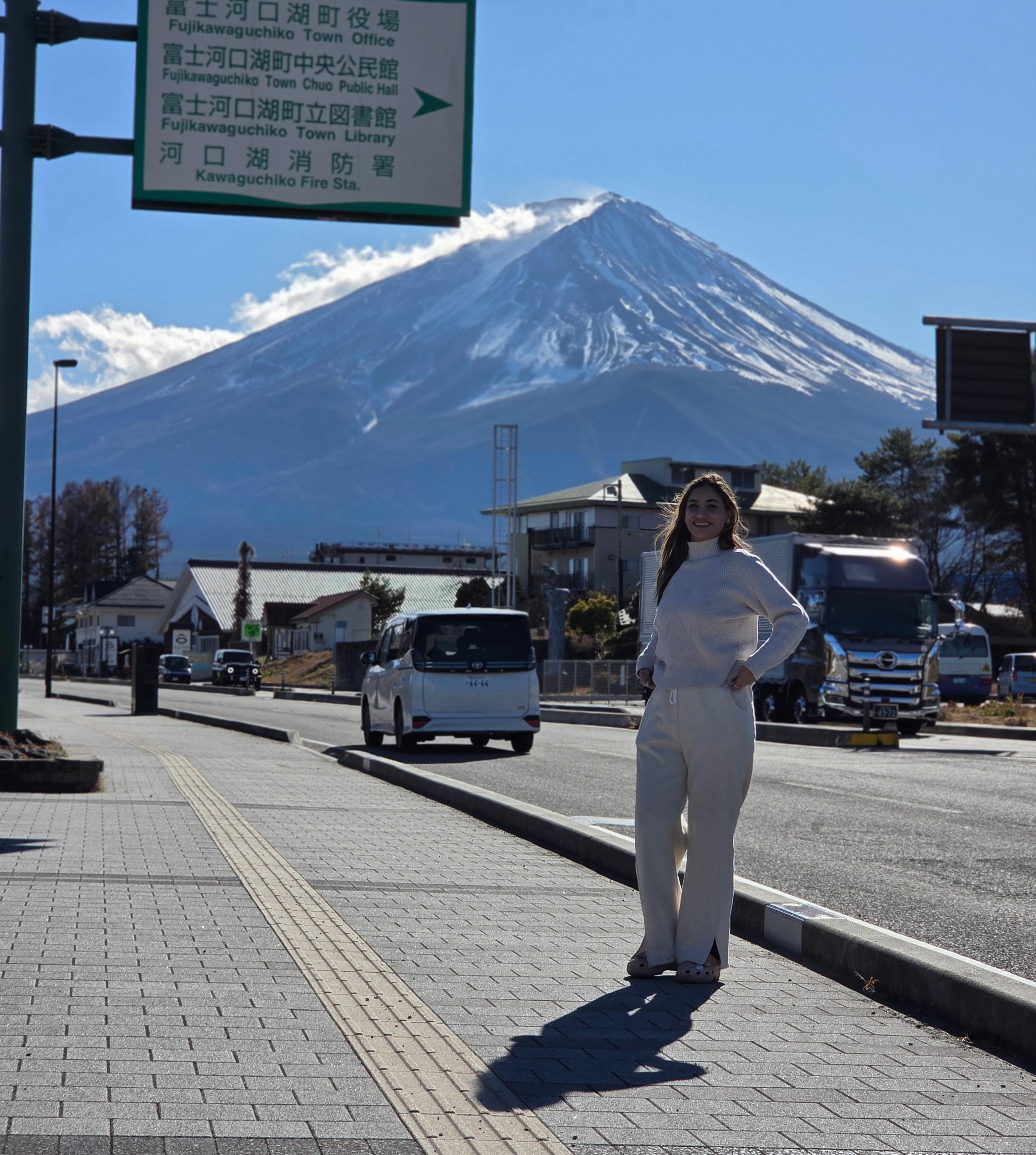 Tokyo to Hakone: Private Art & Nature Day Tour with Kaiseki Lunch