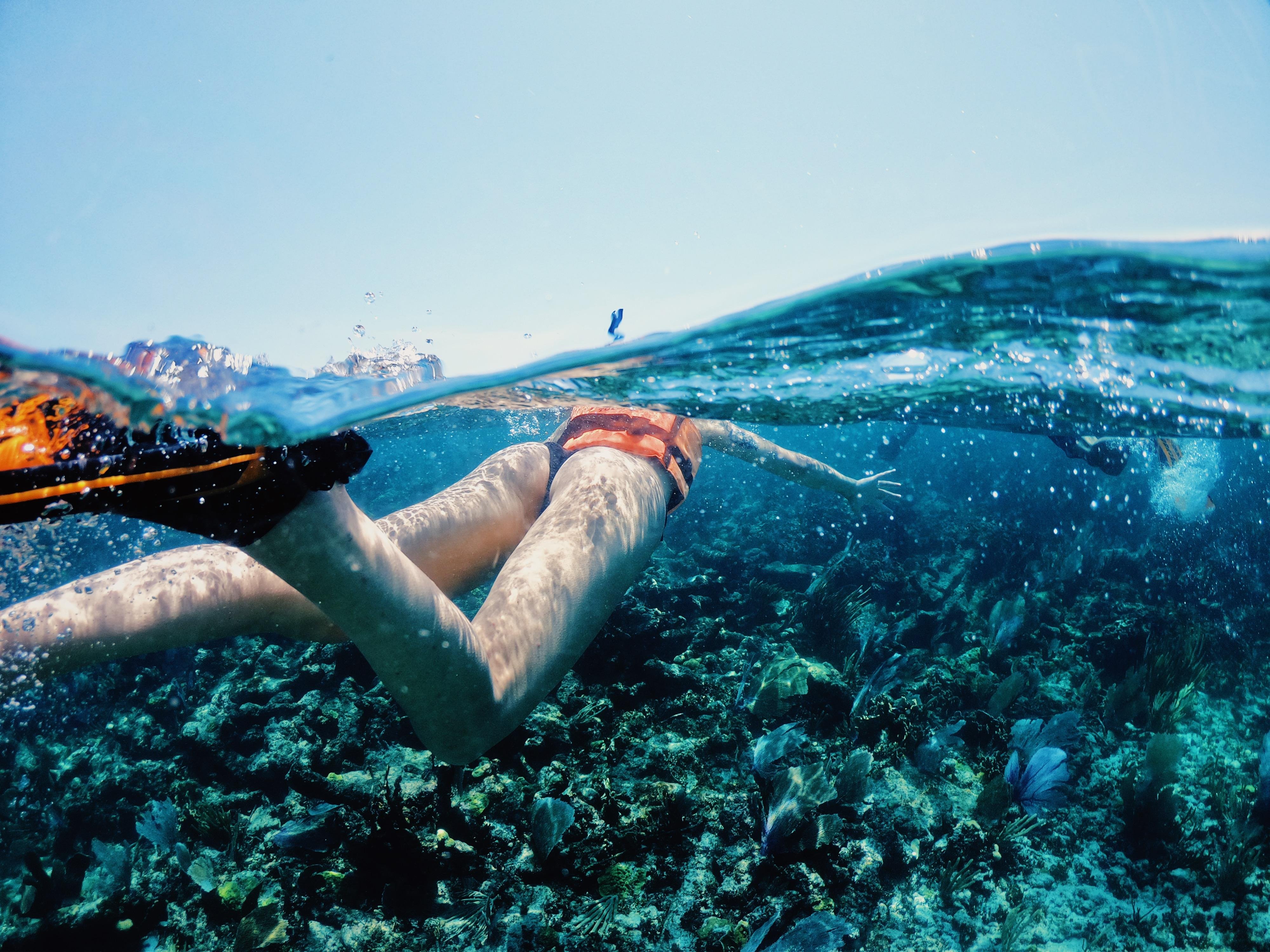 Tulum Sailing & Reef Snorkel Adventure