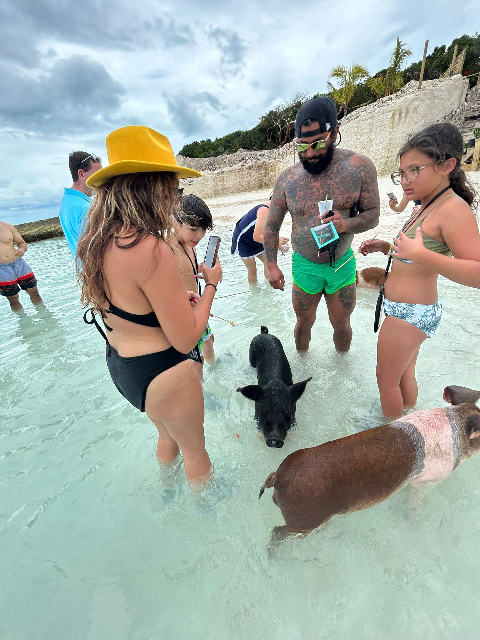 Nassau 3-Island Speedboat Adventure: Pigs, Turtles & Snorkeling