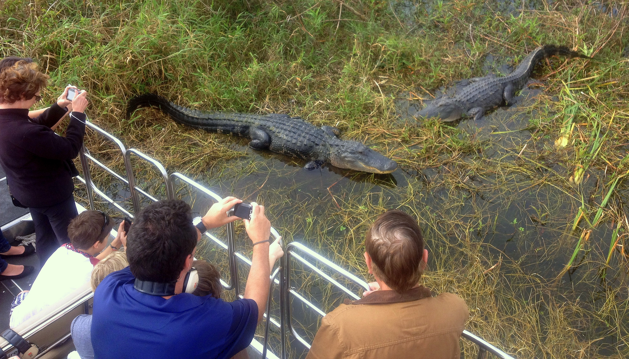 Central Florida Everglades Airboat Adventure & Wildlife Park