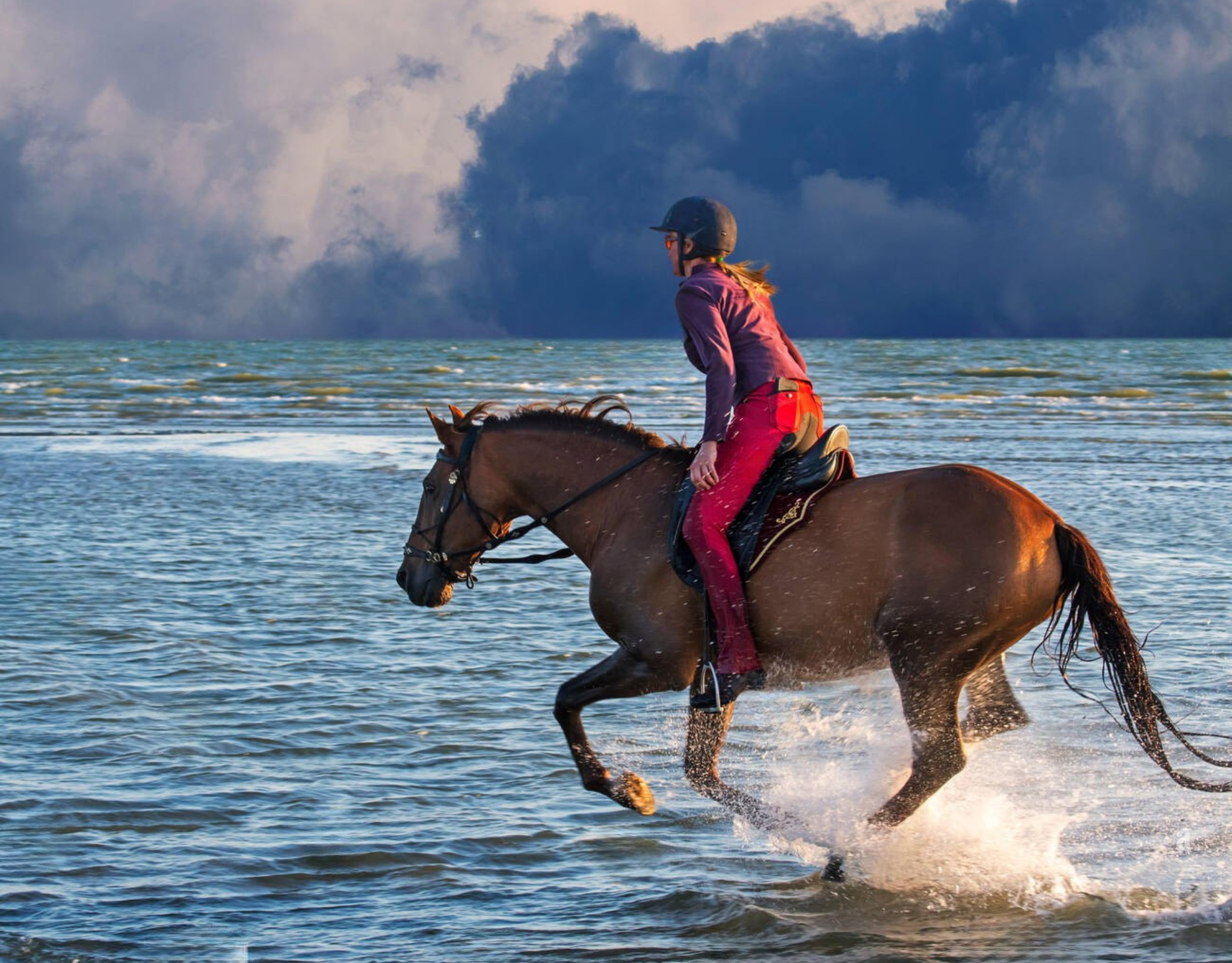 Casablanca Horseback Riding Adventure by the Sea