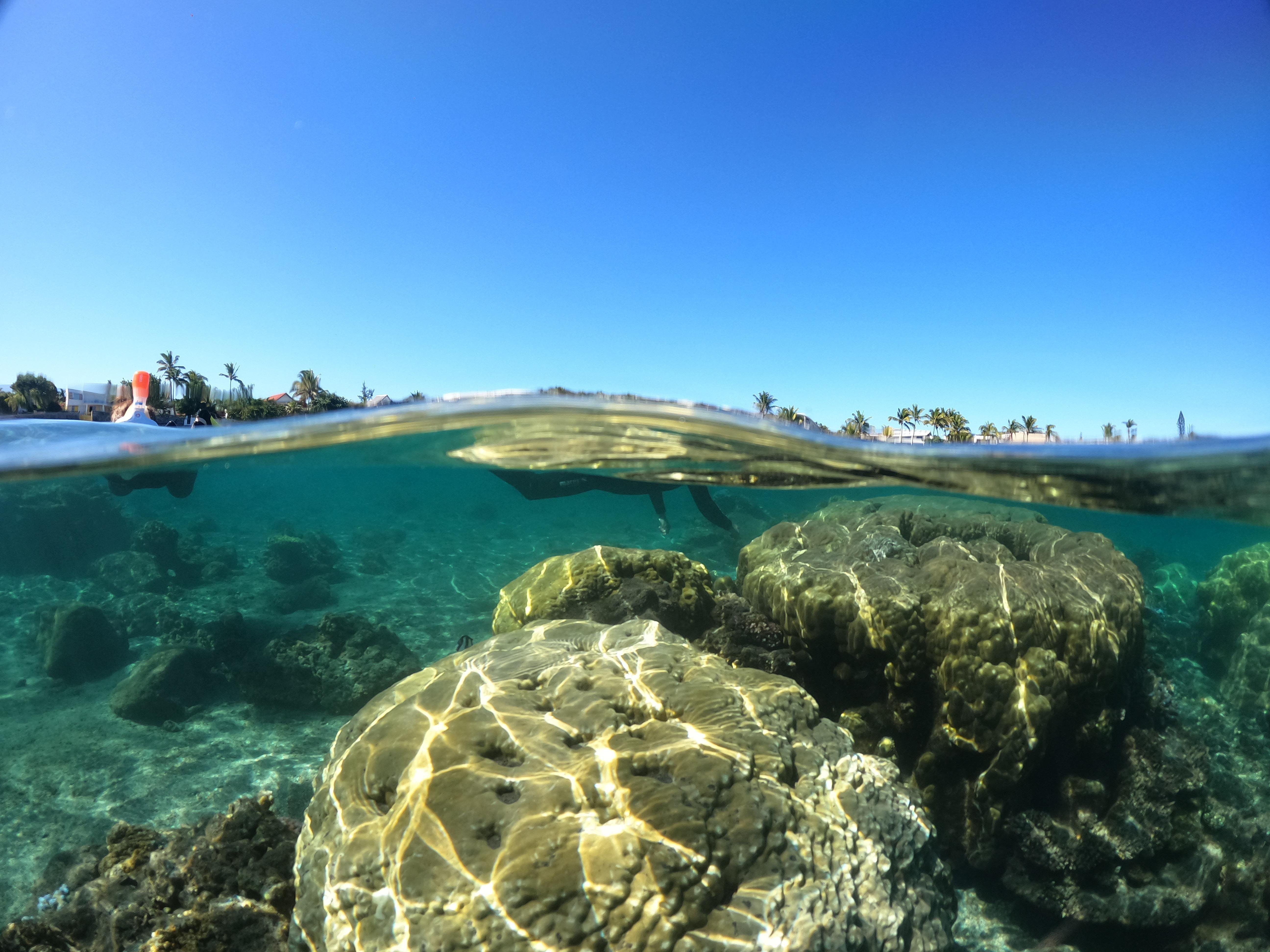 Réunion Island Guided Lagoon Snorkeling Excursion