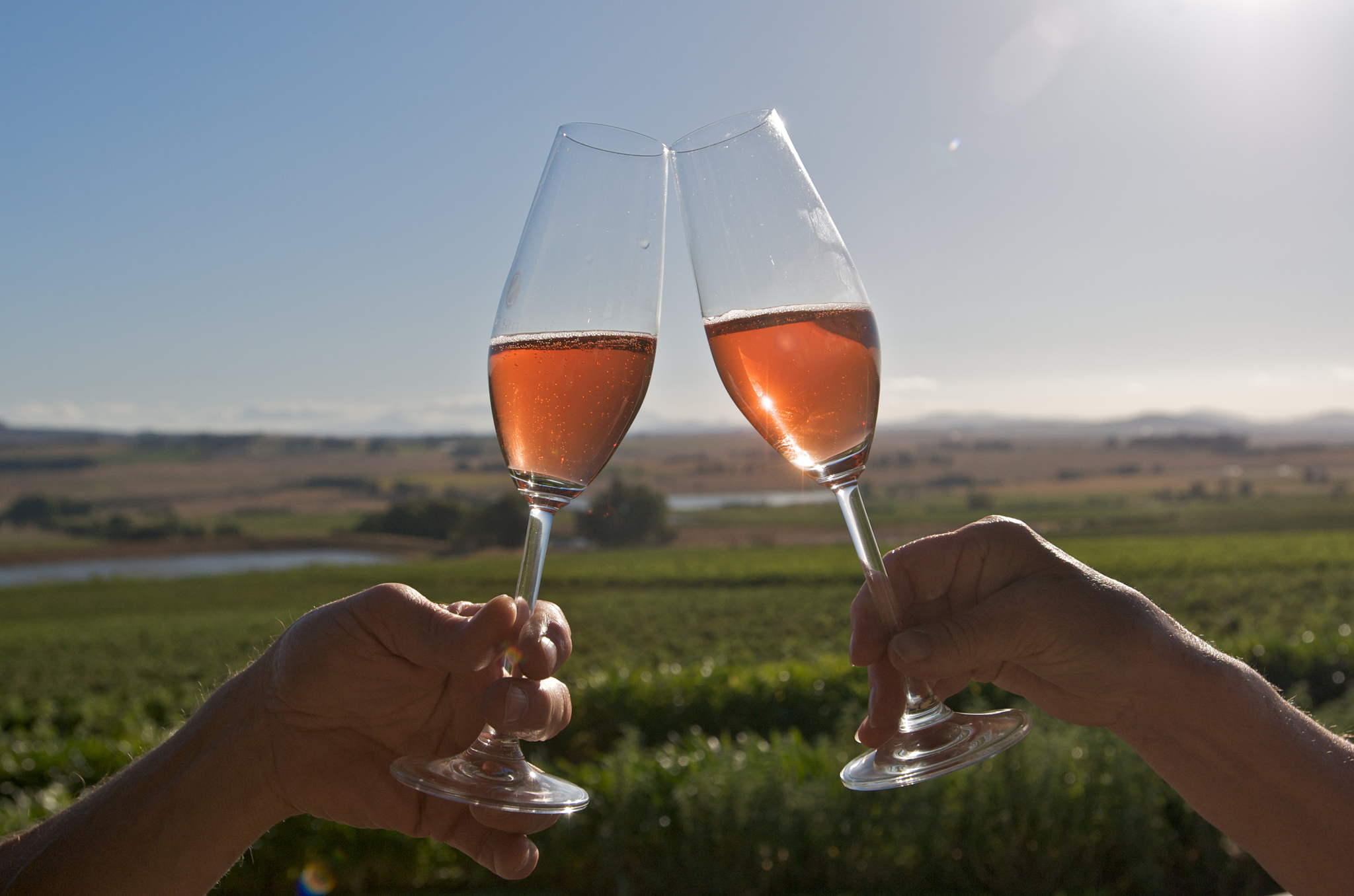 Cape Town Winelands Full-Day Tour: Tastings, Lunch & Cellar Visits