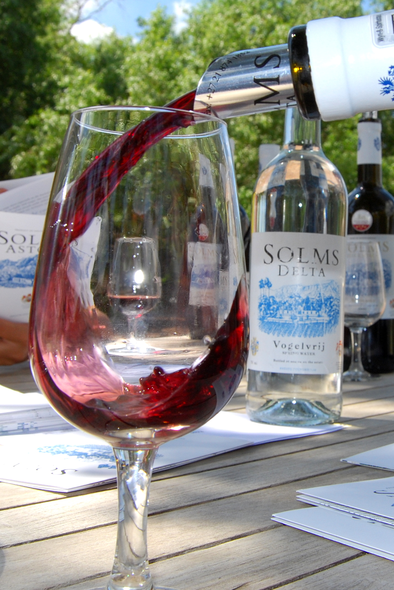 Cape Town Winelands Full-Day Tour: Tastings, Lunch & Cellar Visits