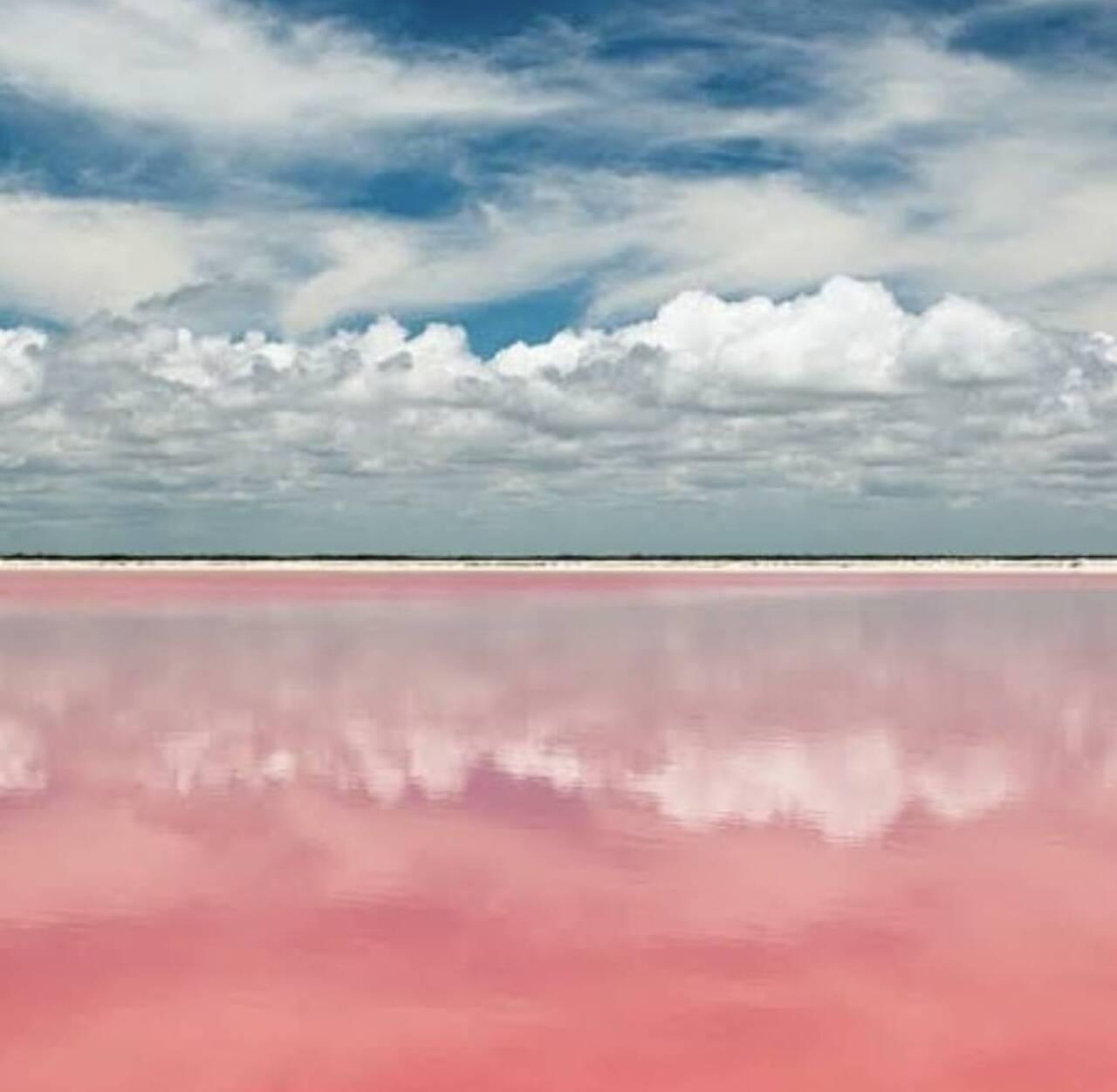 Las Coloradas Pink Lagoons Full-Day Adventure from Mérida