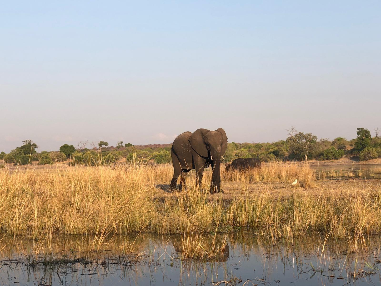 Rhino Tracking Safari & Game Drive
